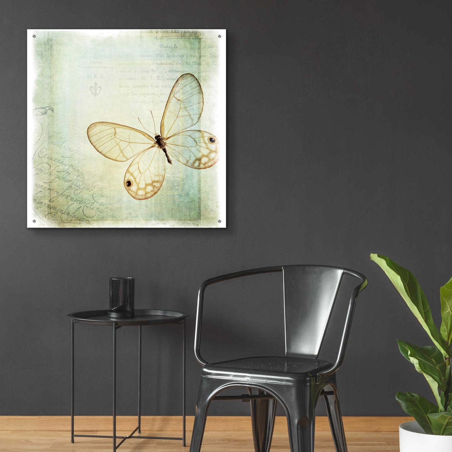 Epic Art 'Floating Butterfly I' by Debra Van Swearingen, Acrylic Glass Wall Art,36x36