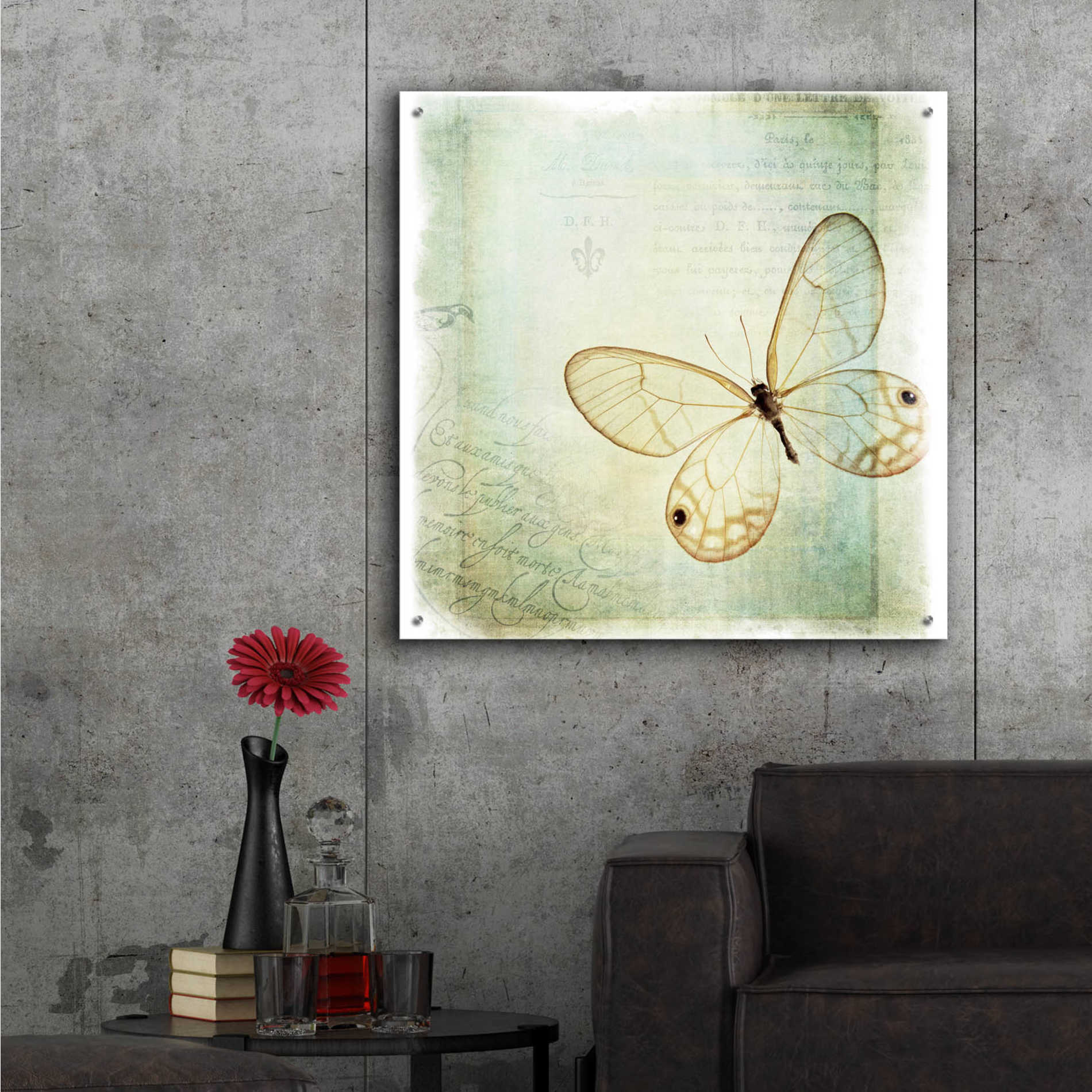 Epic Art 'Floating Butterfly I' by Debra Van Swearingen, Acrylic Glass Wall Art,36x36