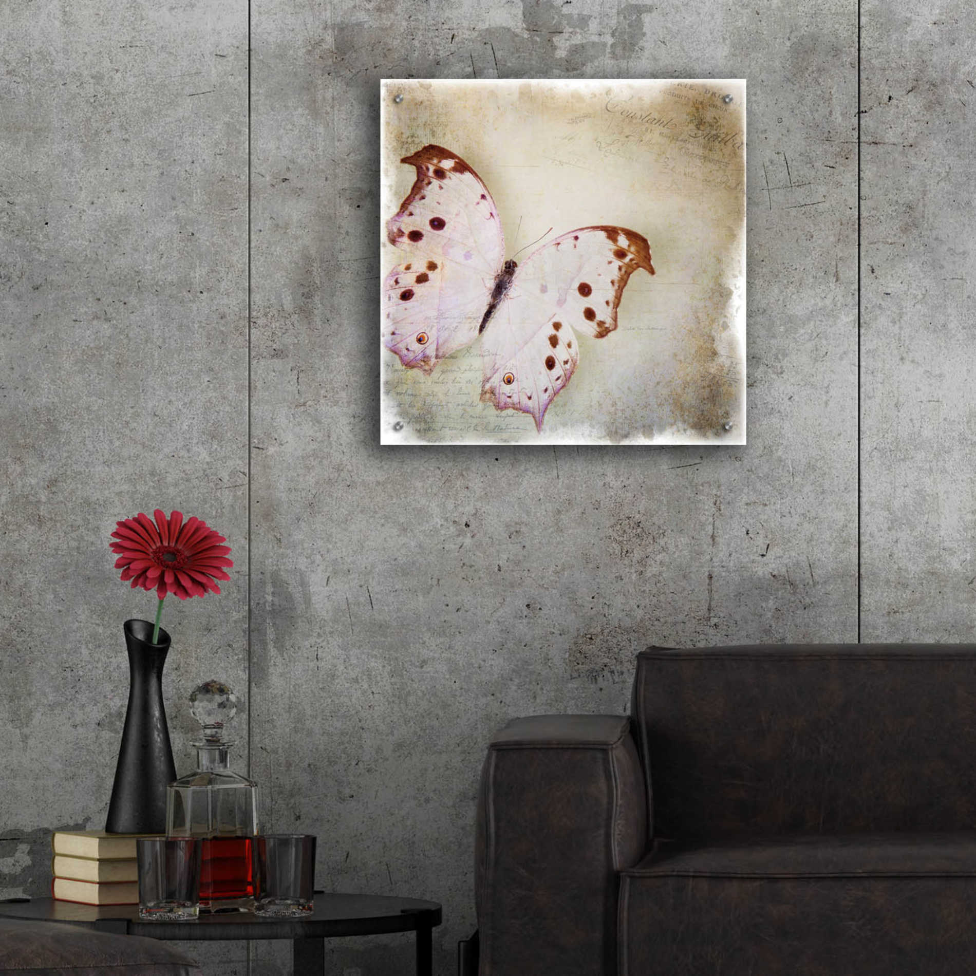 Epic Art 'Floating Butterfly II' by Debra Van Swearingen, Acrylic Glass Wall Art,24x24