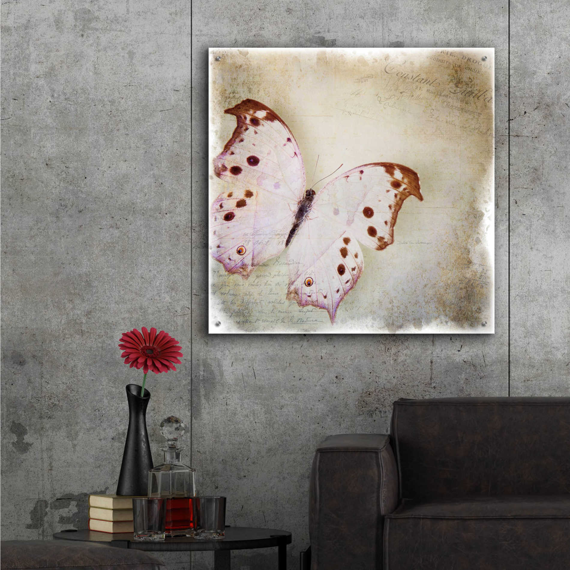 Epic Art 'Floating Butterfly II' by Debra Van Swearingen, Acrylic Glass Wall Art,36x36