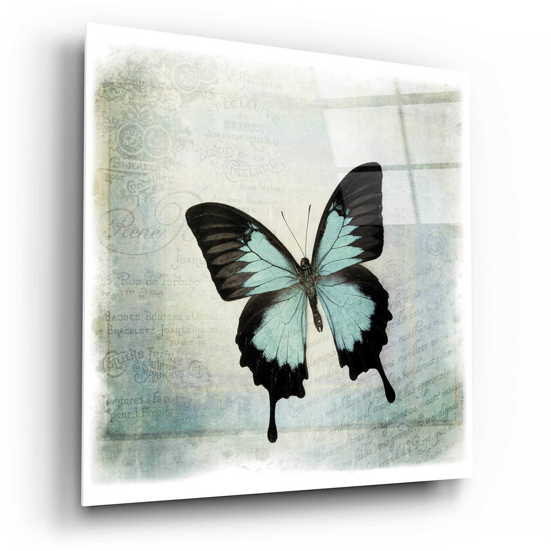 Epic Art 'Floating Butterfly III' by Debra Van Swearingen, Acrylic Glass Wall Art,12x12