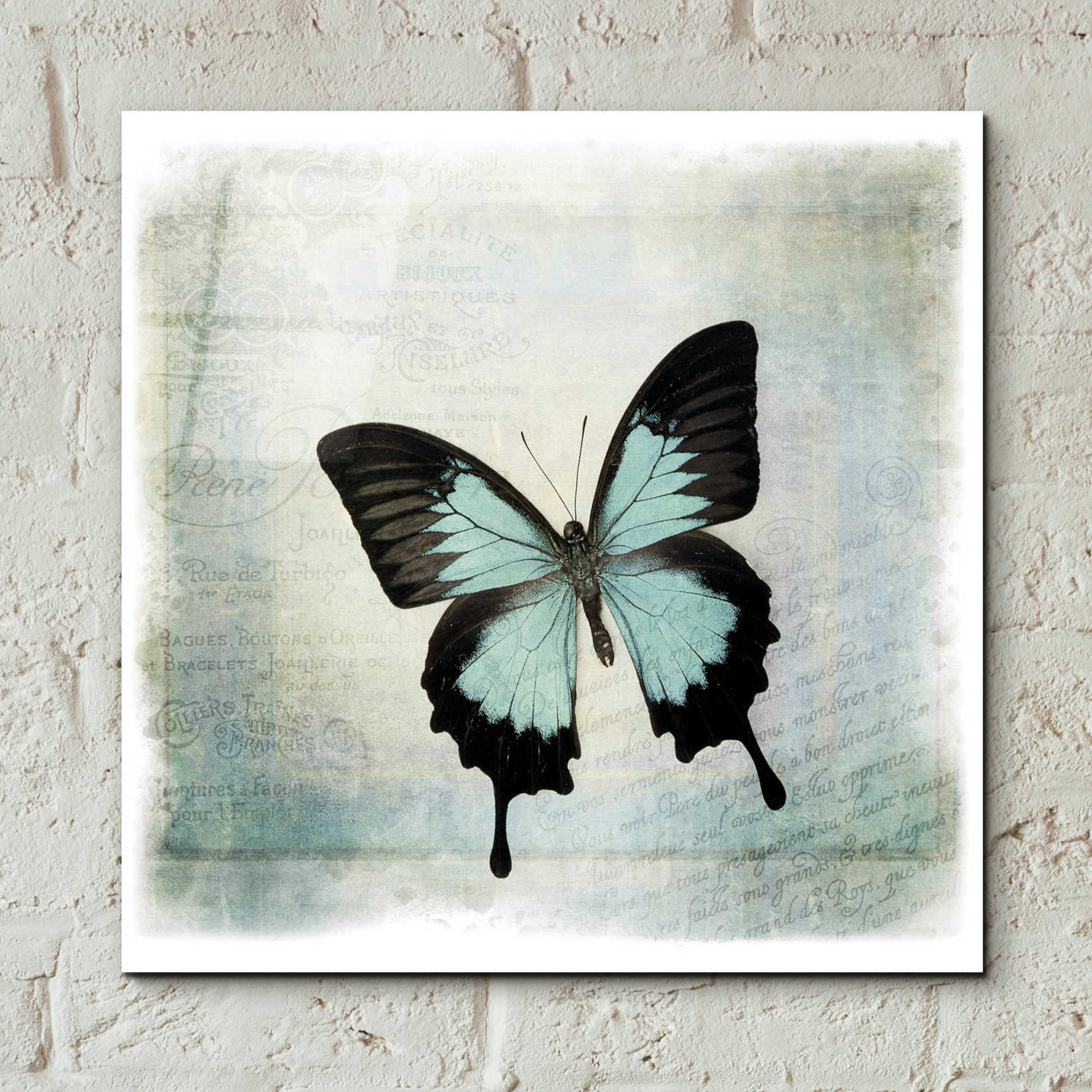 Epic Art 'Floating Butterfly III' by Debra Van Swearingen, Acrylic Glass Wall Art,12x12