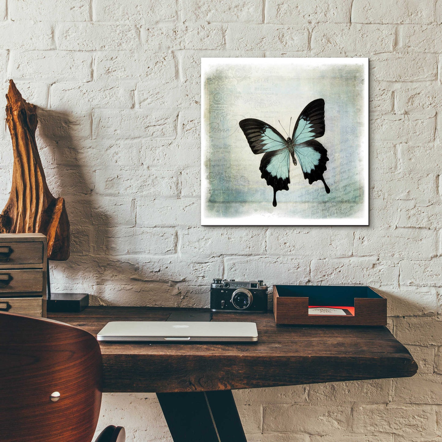 Epic Art 'Floating Butterfly III' by Debra Van Swearingen, Acrylic Glass Wall Art,12x12