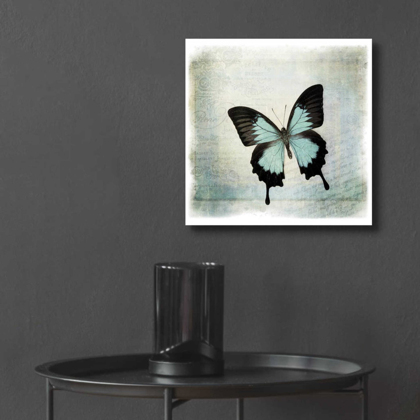 Epic Art 'Floating Butterfly III' by Debra Van Swearingen, Acrylic Glass Wall Art,12x12