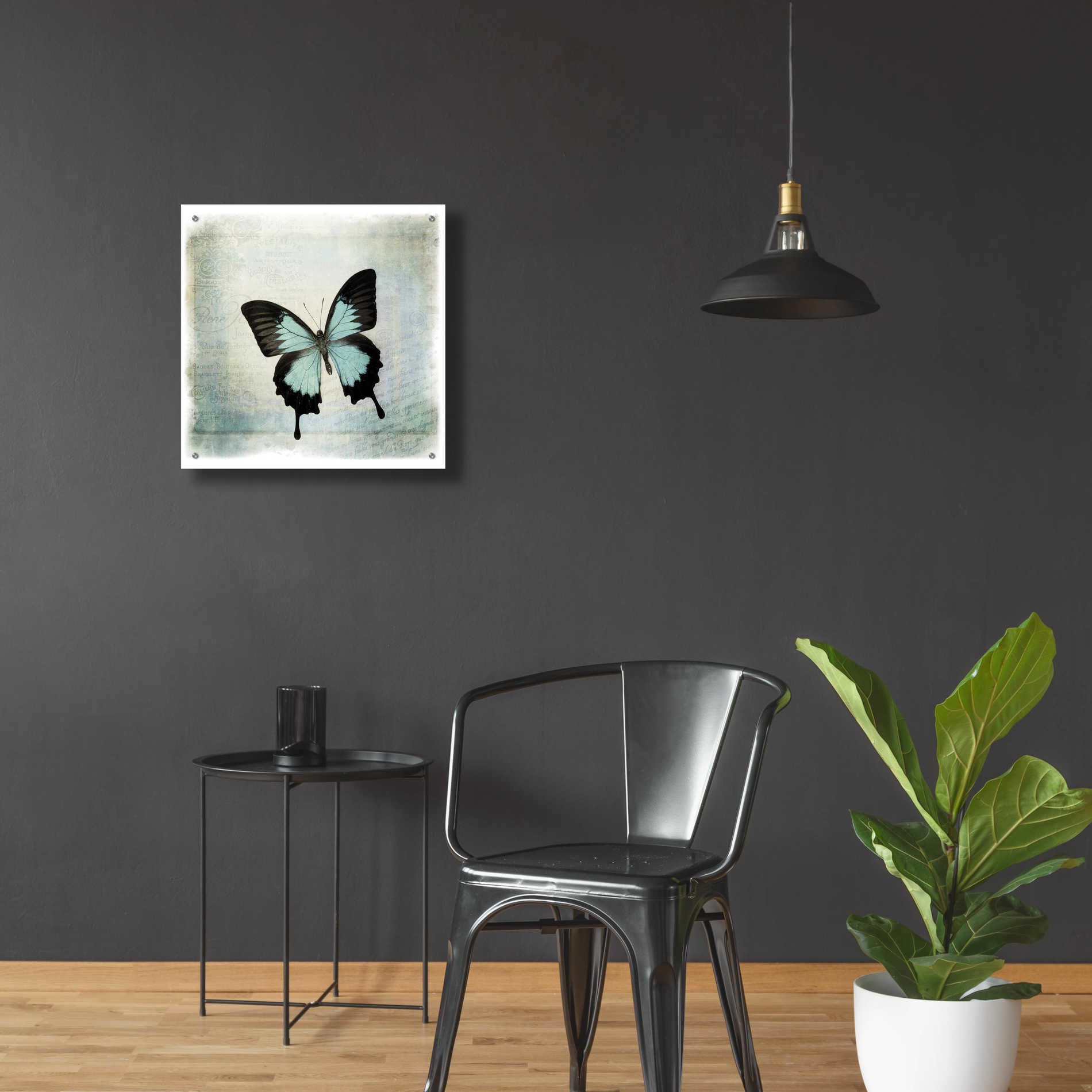 Epic Art 'Floating Butterfly III' by Debra Van Swearingen, Acrylic Glass Wall Art,24x24