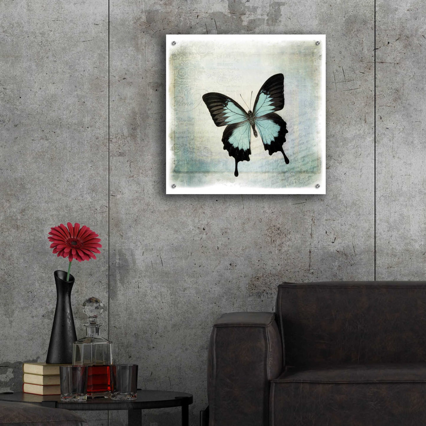 Epic Art 'Floating Butterfly III' by Debra Van Swearingen, Acrylic Glass Wall Art,24x24