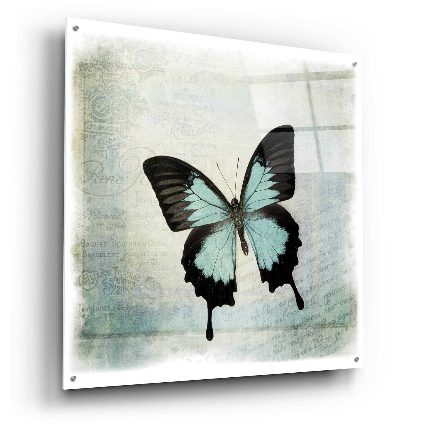 Epic Art 'Floating Butterfly III' by Debra Van Swearingen, Acrylic Glass Wall Art,36x36