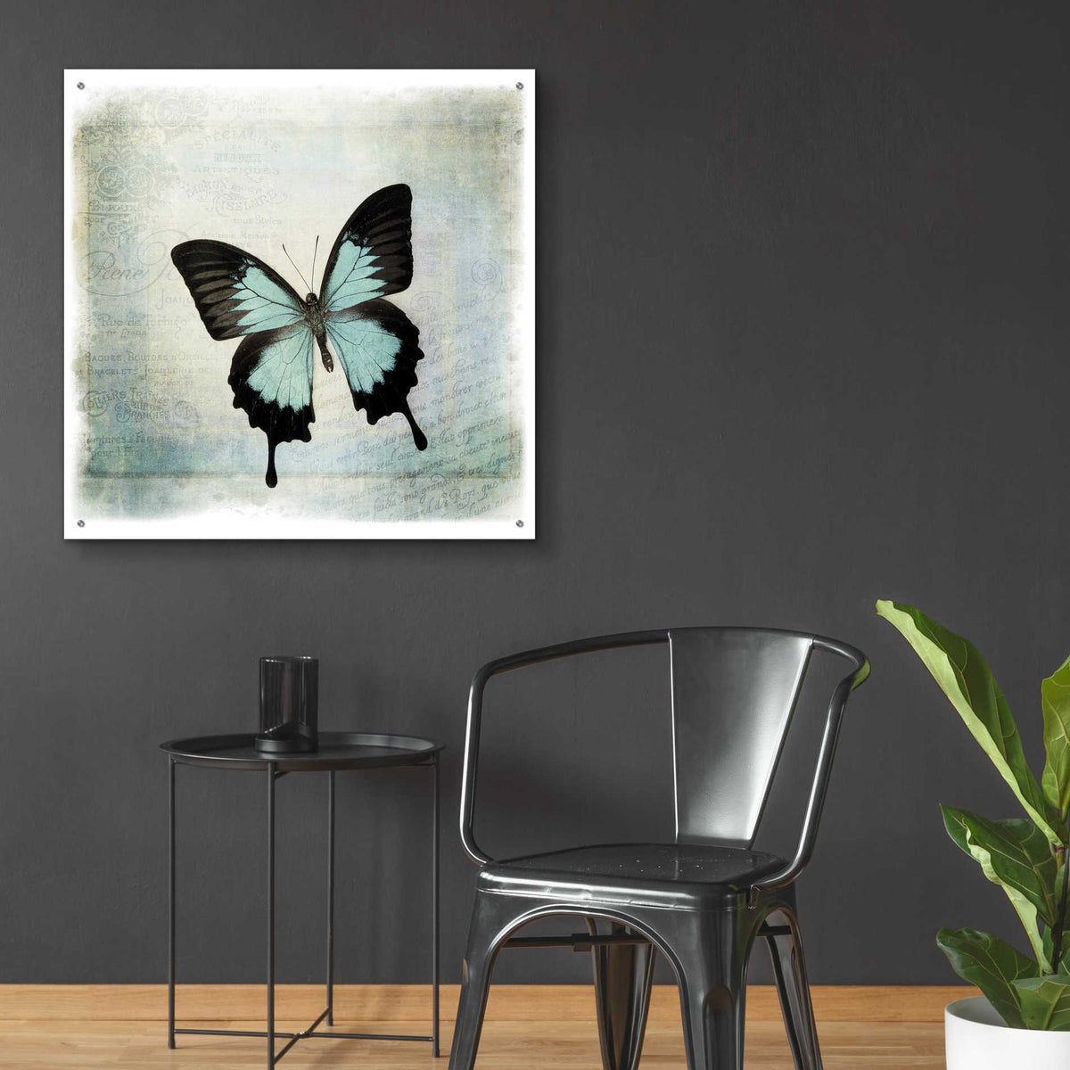 Epic Art 'Floating Butterfly III' by Debra Van Swearingen, Acrylic Glass Wall Art,36x36