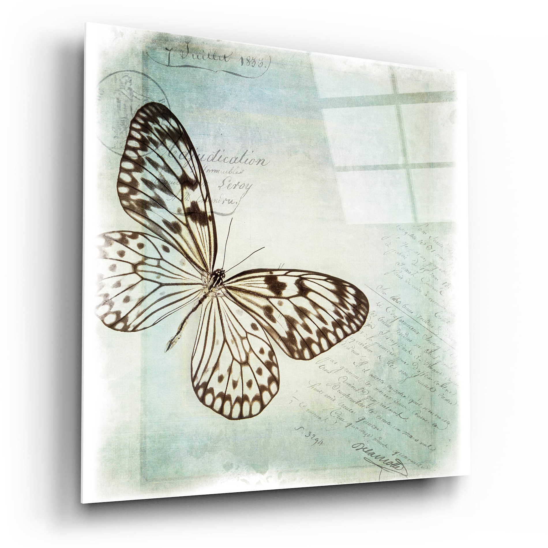 Epic Art 'Floating Butterfly IV' by Debra Van Swearingen, Acrylic Glass Wall Art,12x12