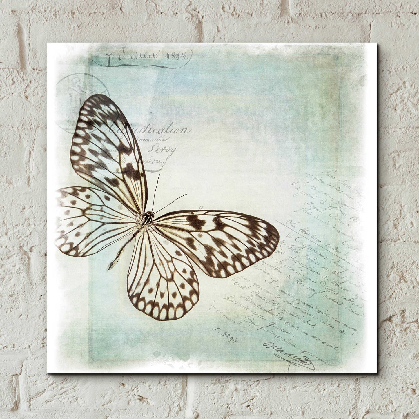 Epic Art 'Floating Butterfly IV' by Debra Van Swearingen, Acrylic Glass Wall Art,12x12