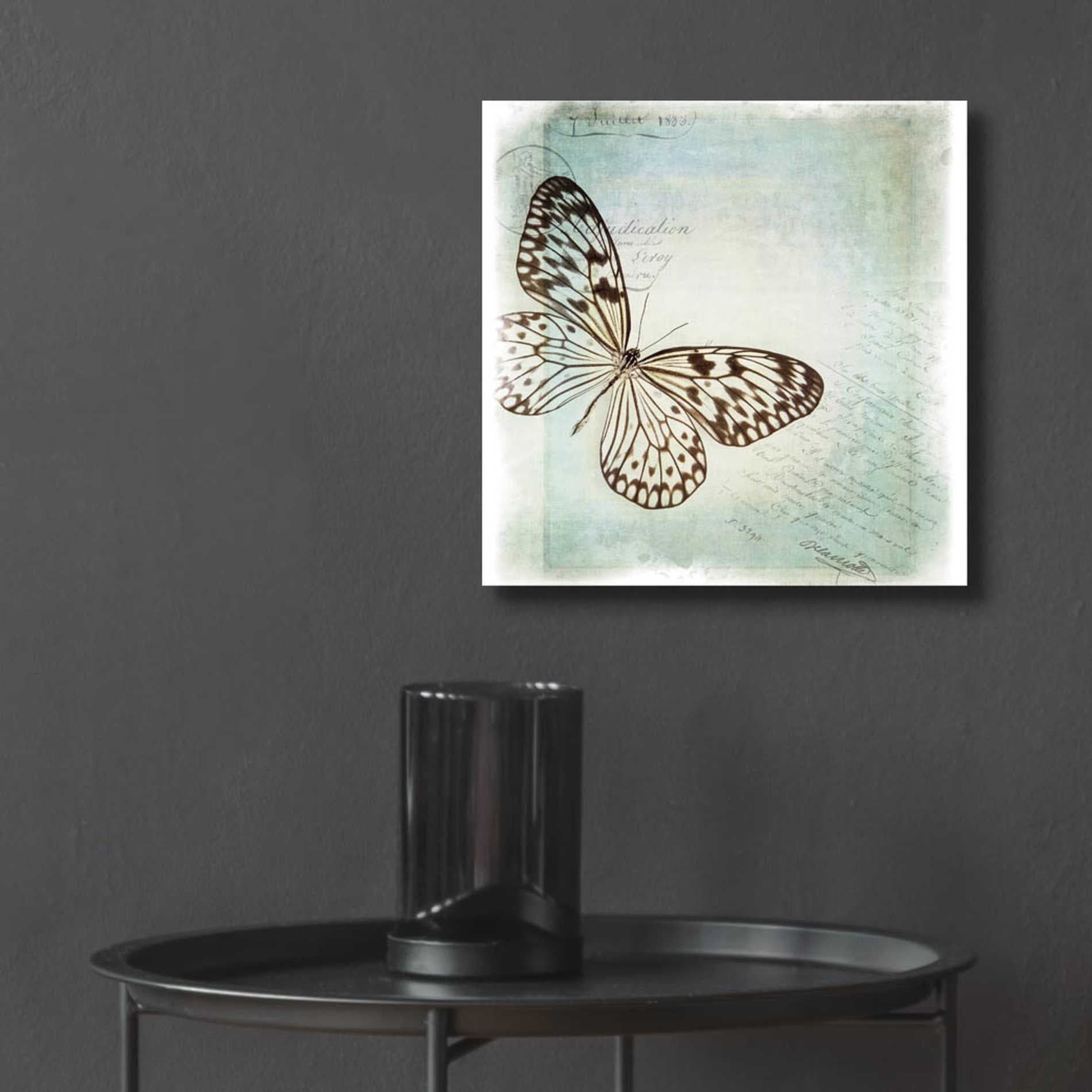 Epic Art 'Floating Butterfly IV' by Debra Van Swearingen, Acrylic Glass Wall Art,12x12