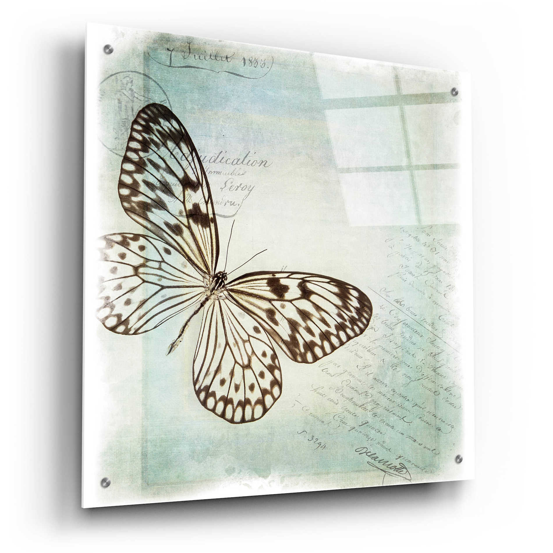 Epic Art 'Floating Butterfly IV' by Debra Van Swearingen, Acrylic Glass Wall Art,24x24