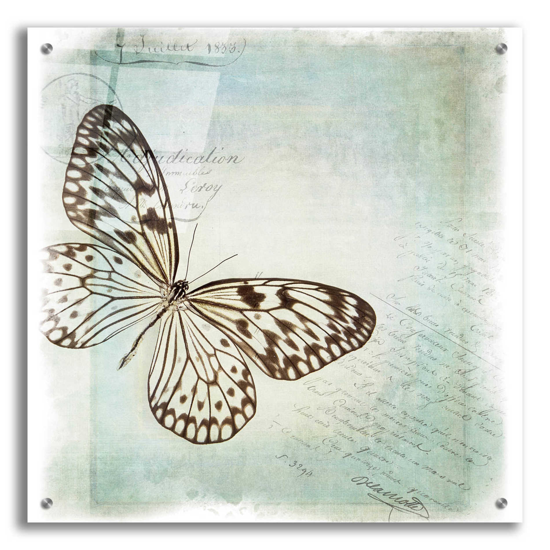 Epic Art 'Floating Butterfly IV' by Debra Van Swearingen, Acrylic Glass Wall Art,24x24