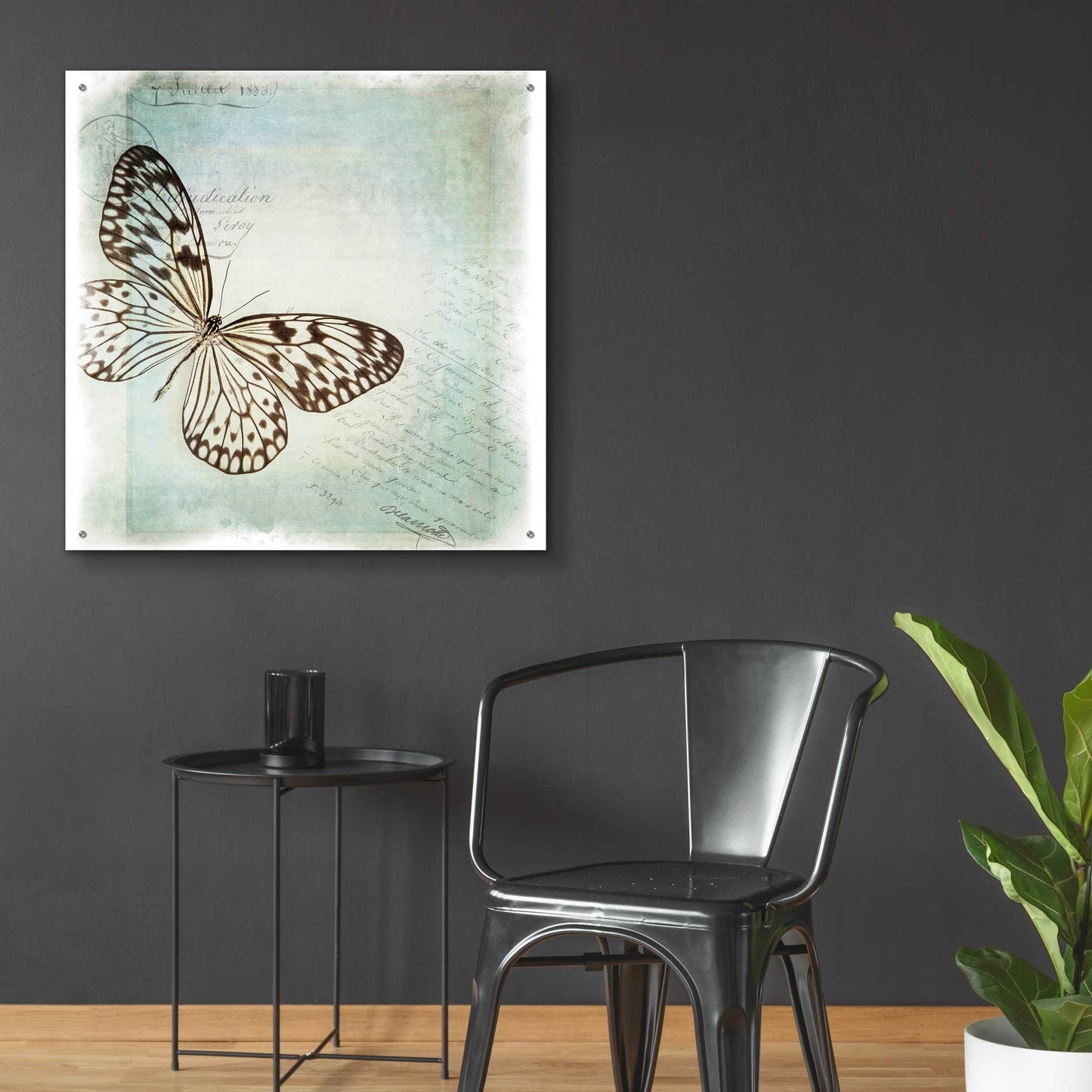 Epic Art 'Floating Butterfly IV' by Debra Van Swearingen, Acrylic Glass Wall Art,36x36