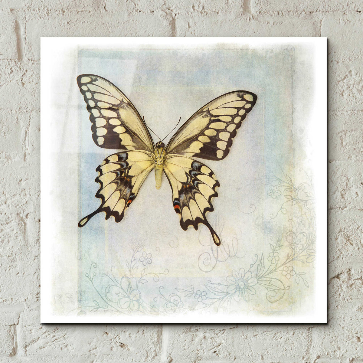 Epic Art 'Floating Butterfly V' by Debra Van Swearingen, Acrylic Glass Wall Art,12x12