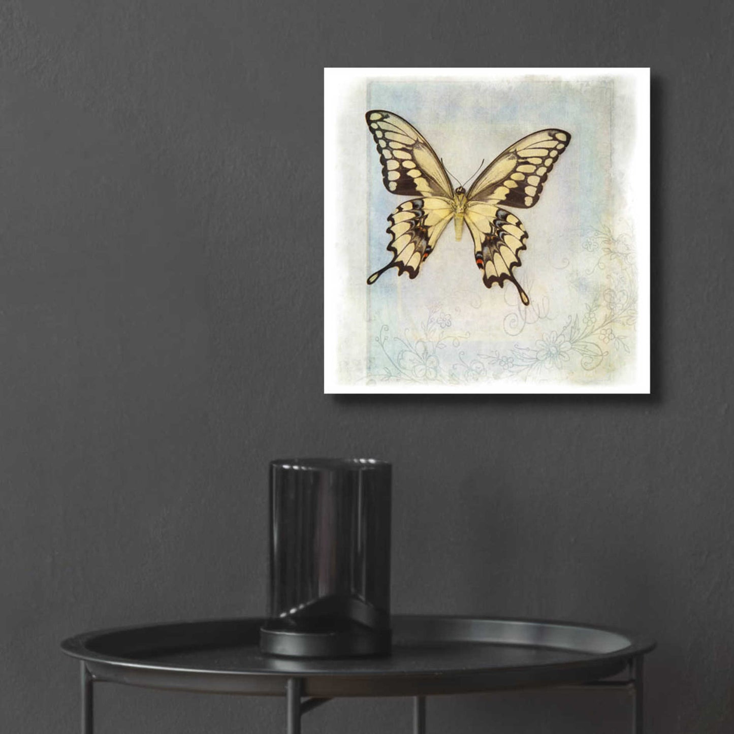 Epic Art 'Floating Butterfly V' by Debra Van Swearingen, Acrylic Glass Wall Art,12x12