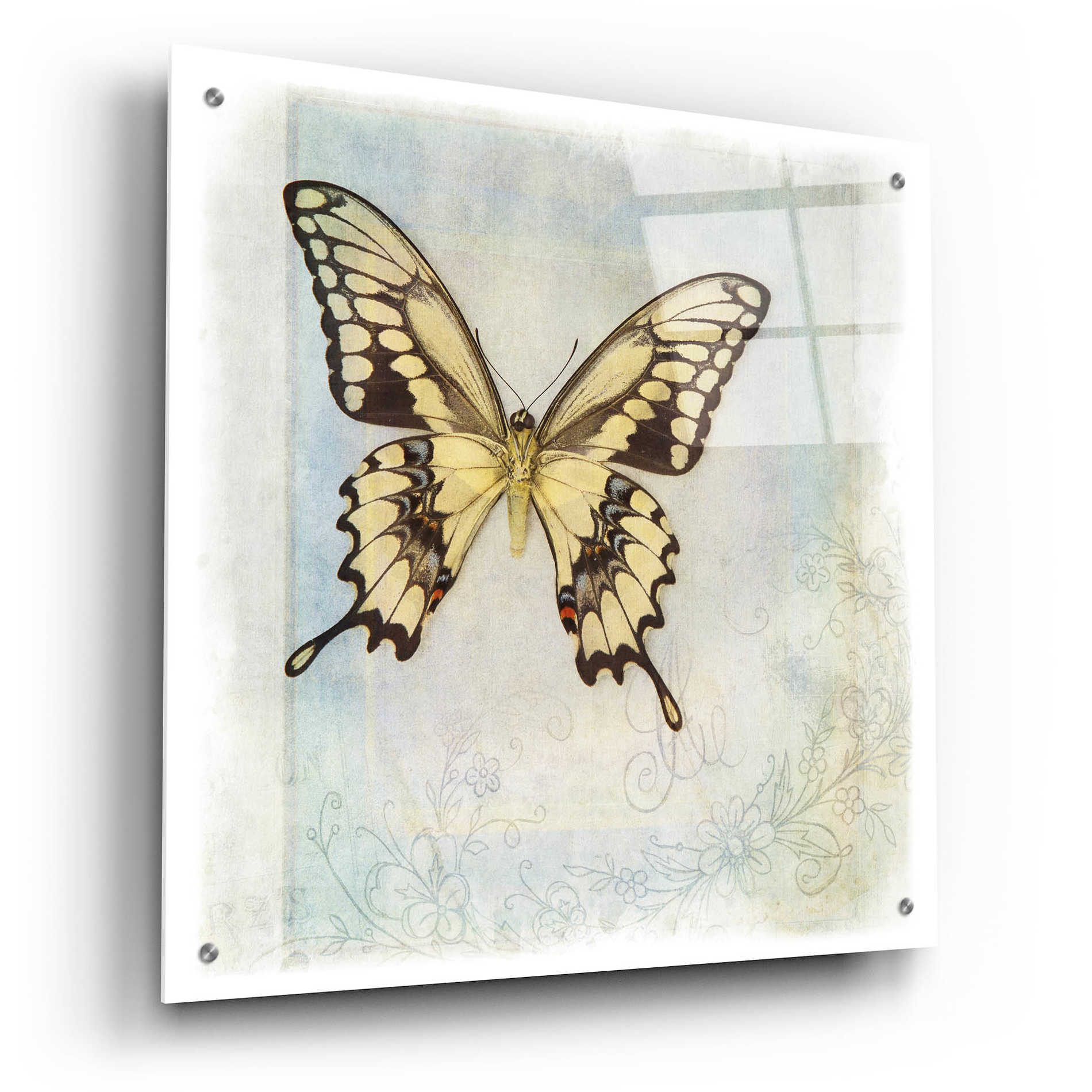 Epic Art 'Floating Butterfly V' by Debra Van Swearingen, Acrylic Glass Wall Art,24x24