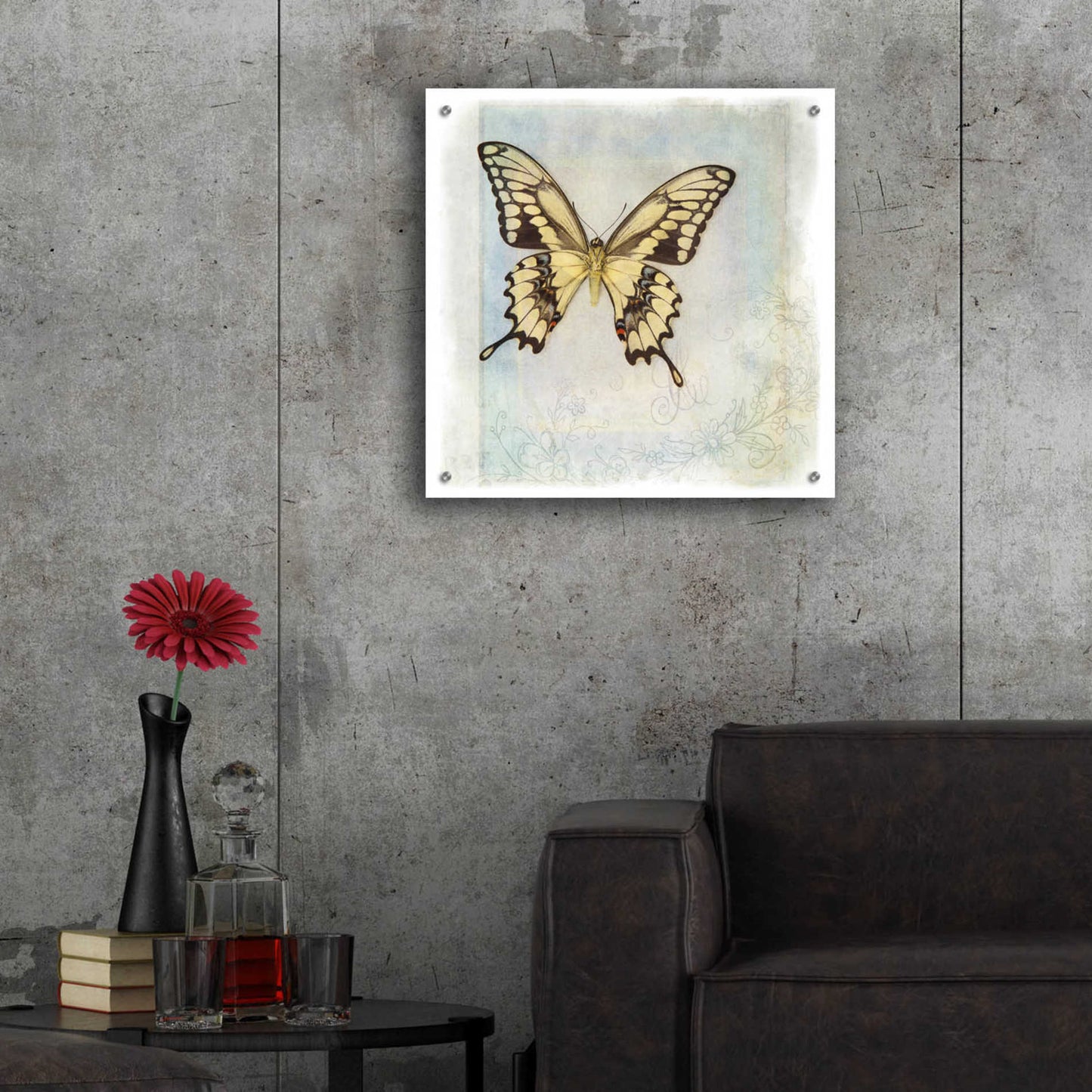 Epic Art 'Floating Butterfly V' by Debra Van Swearingen, Acrylic Glass Wall Art,24x24