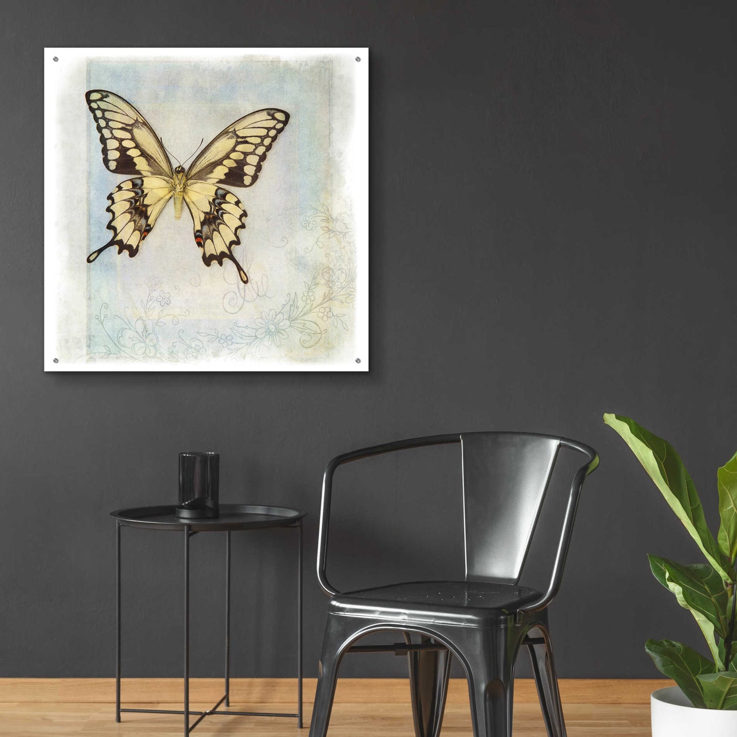 Epic Art 'Floating Butterfly V' by Debra Van Swearingen, Acrylic Glass Wall Art,36x36