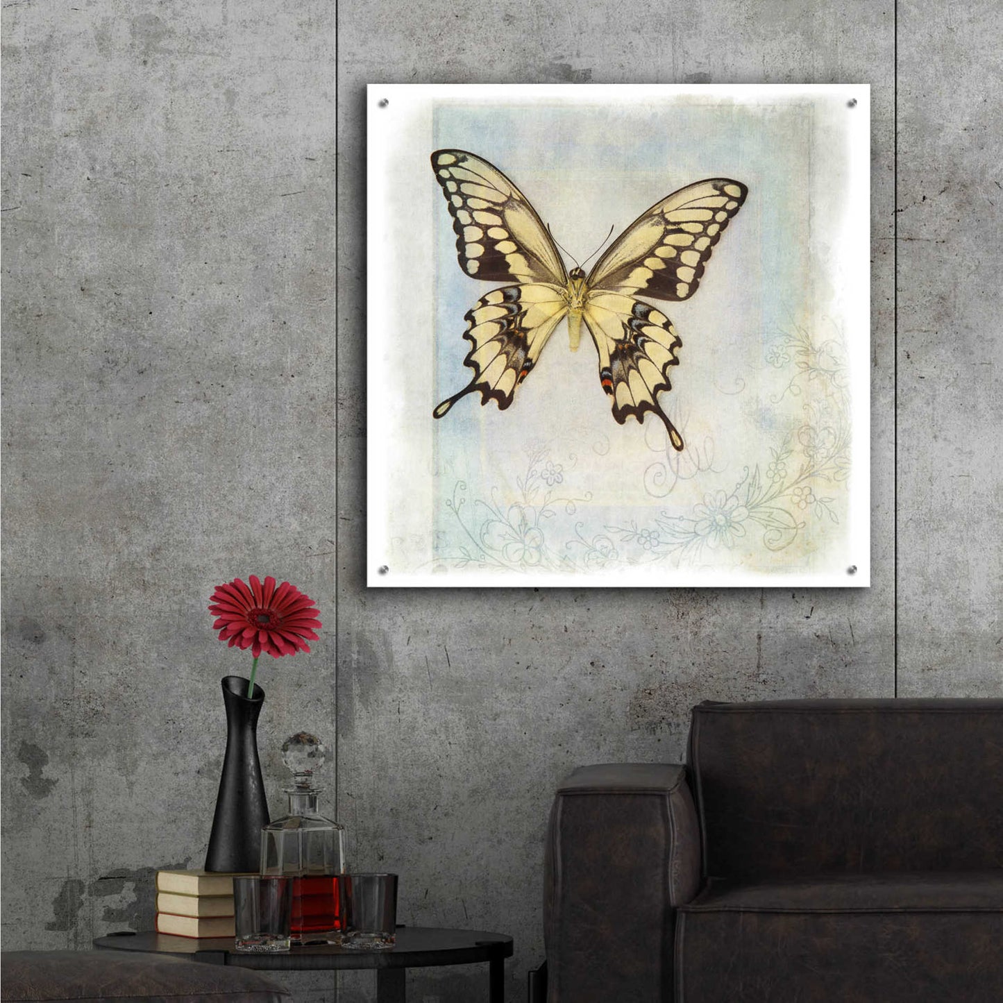Epic Art 'Floating Butterfly V' by Debra Van Swearingen, Acrylic Glass Wall Art,36x36