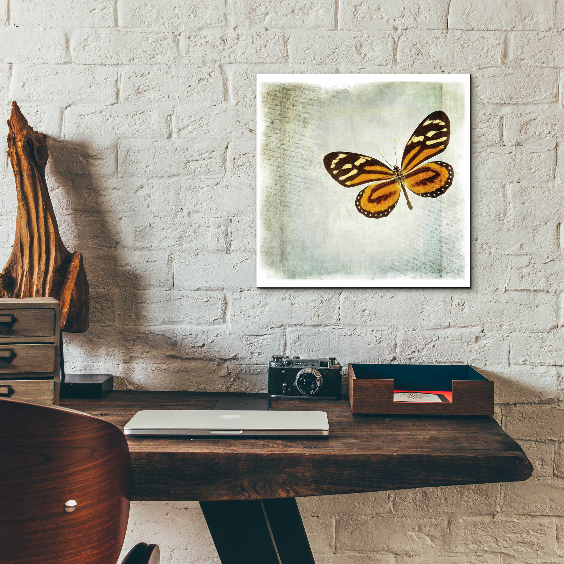 Epic Art 'Floating Butterfly VI' by Debra Van Swearingen, Acrylic Glass Wall Art,12x12