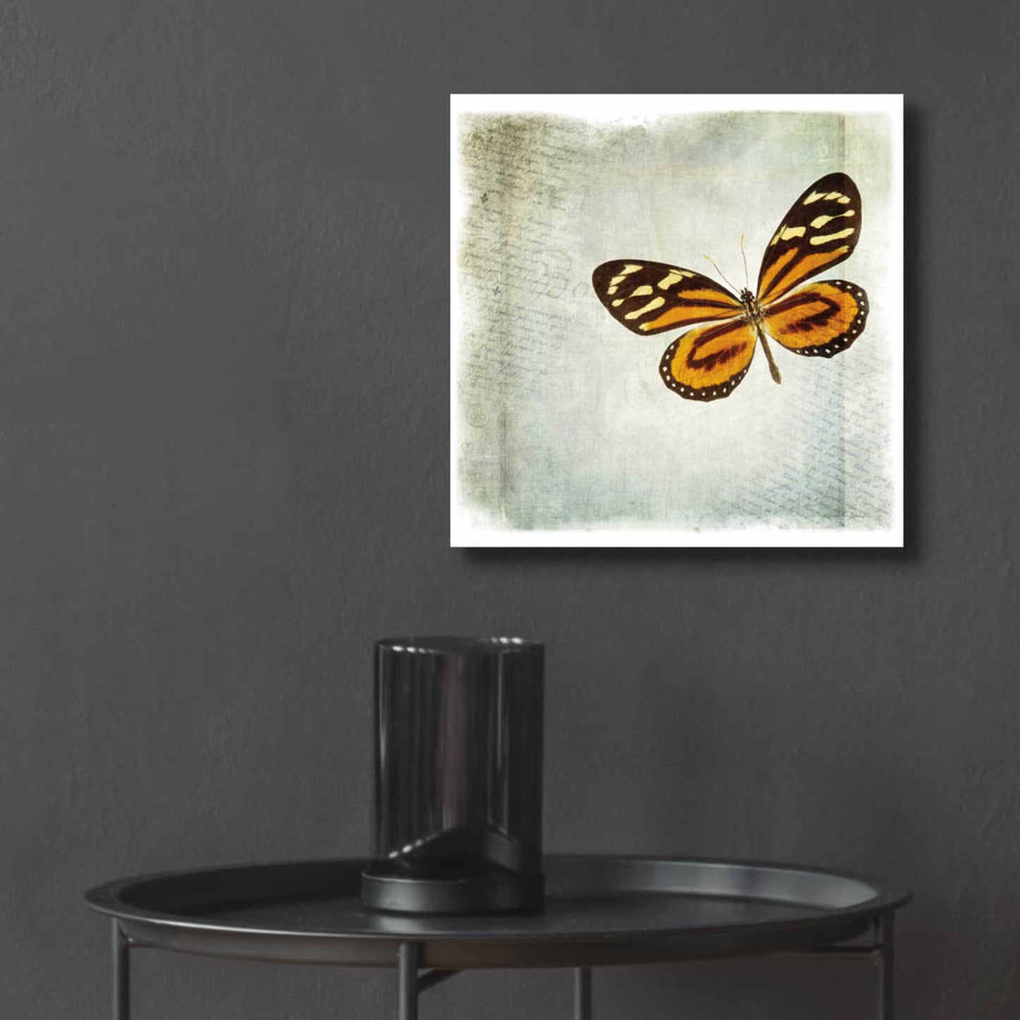 Epic Art 'Floating Butterfly VI' by Debra Van Swearingen, Acrylic Glass Wall Art,12x12