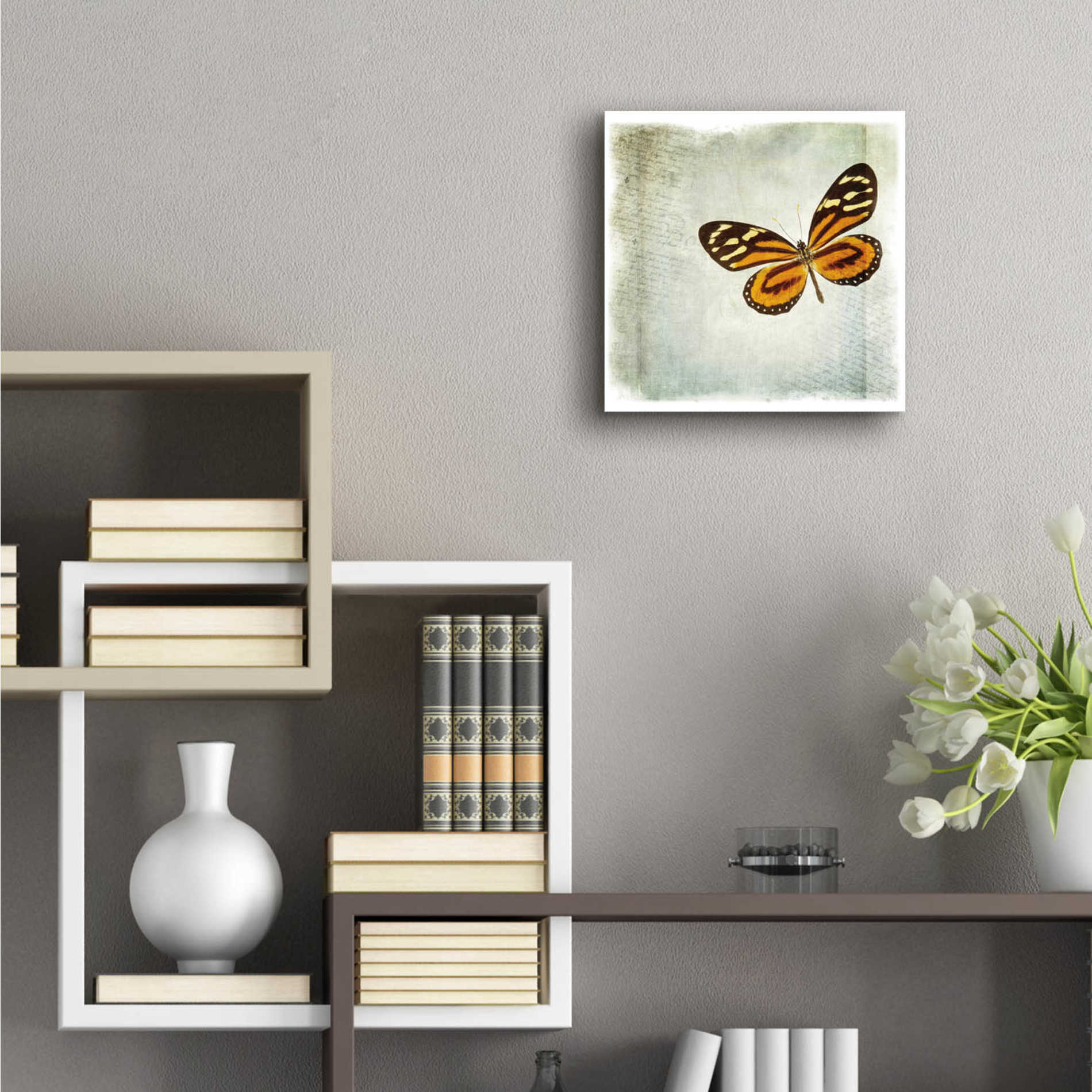 Epic Art 'Floating Butterfly VI' by Debra Van Swearingen, Acrylic Glass Wall Art,12x12