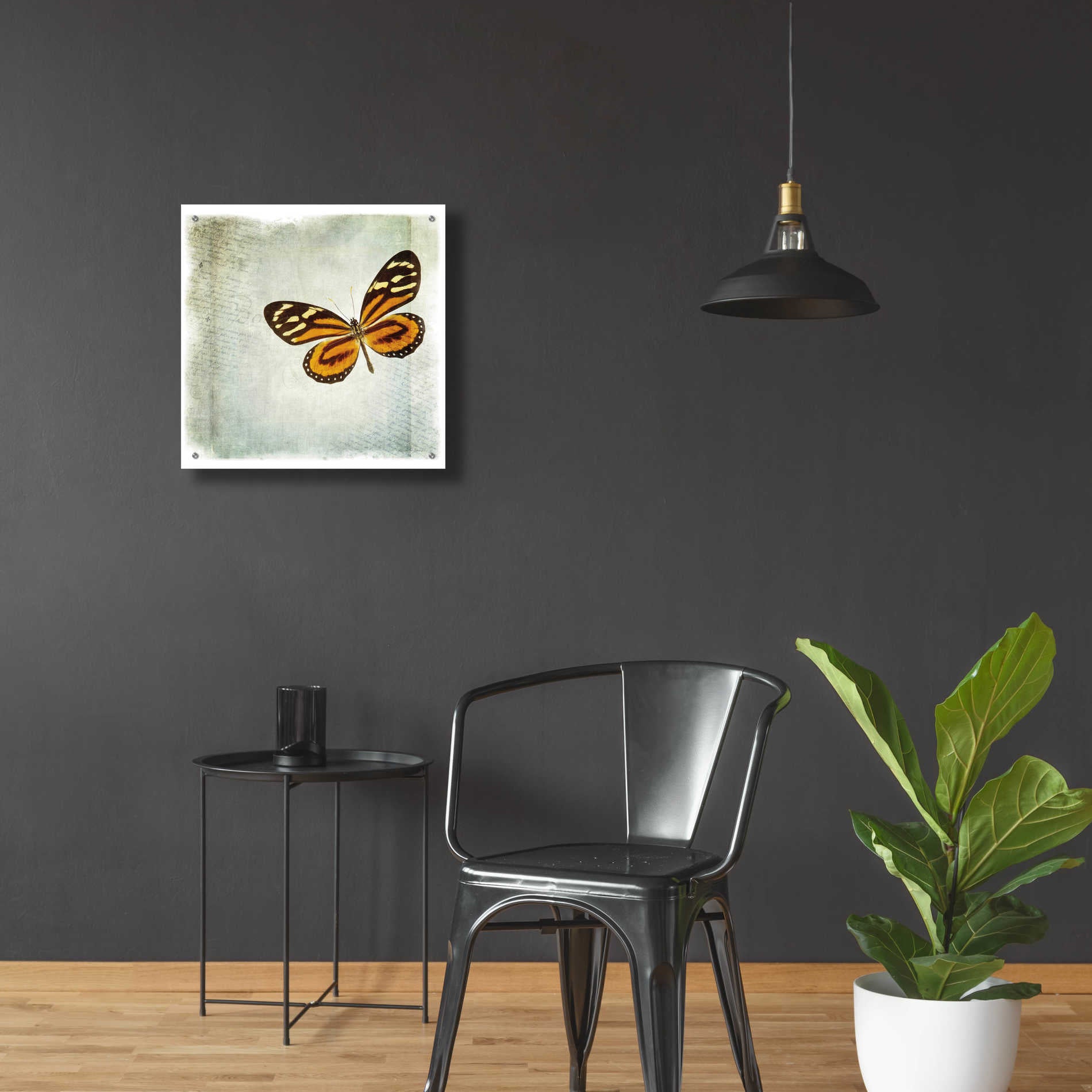 Epic Art 'Floating Butterfly VI' by Debra Van Swearingen, Acrylic Glass Wall Art,24x24