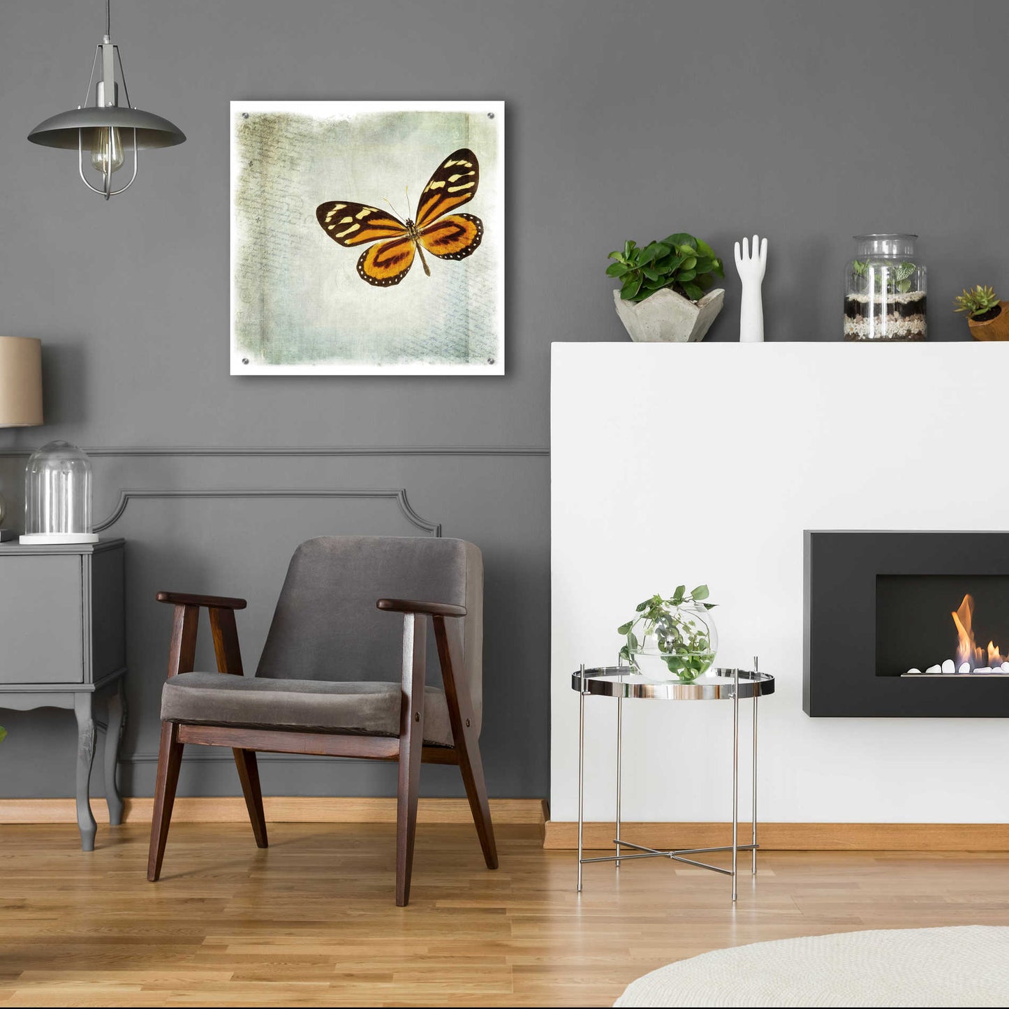 Epic Art 'Floating Butterfly VI' by Debra Van Swearingen, Acrylic Glass Wall Art,24x24