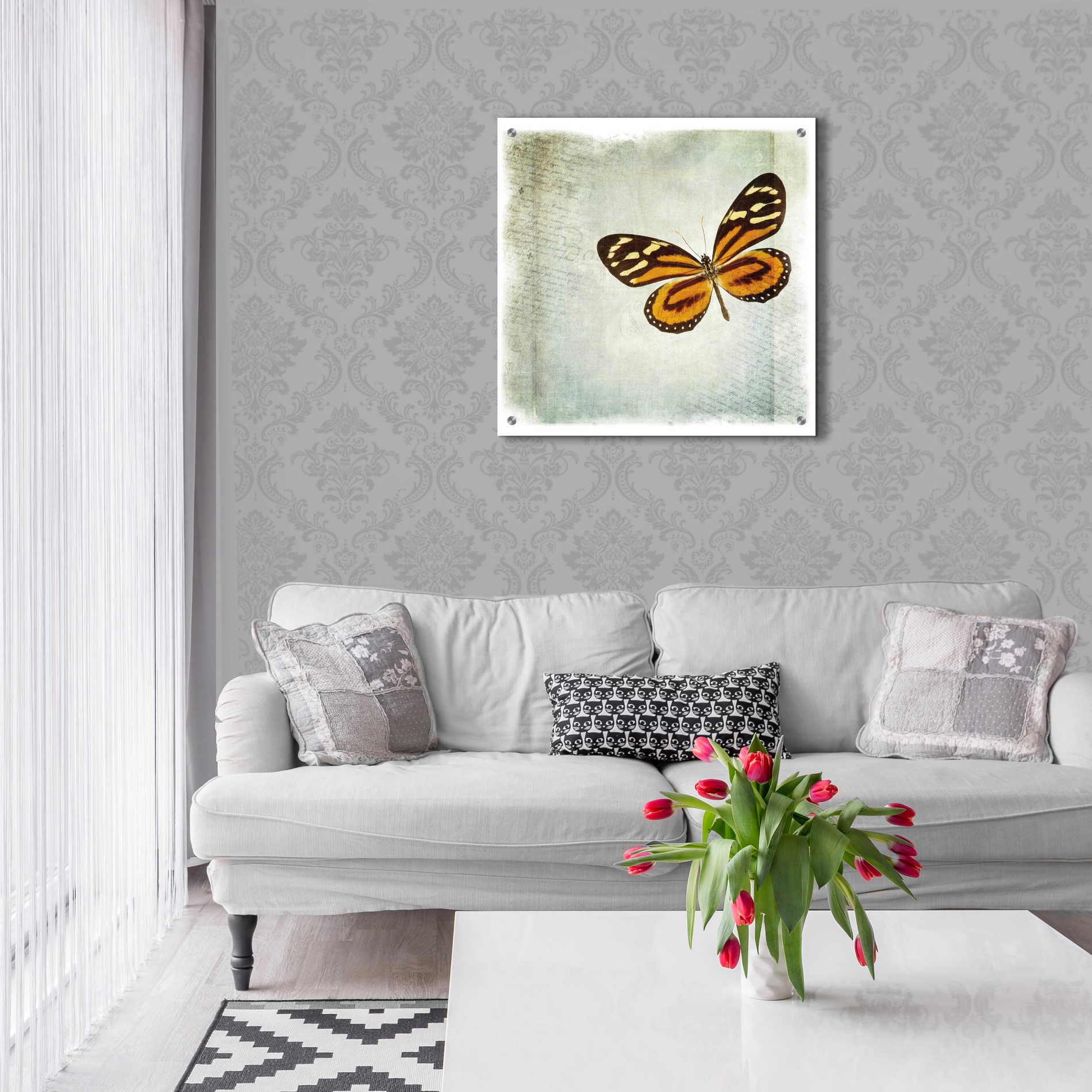 Epic Art 'Floating Butterfly VI' by Debra Van Swearingen, Acrylic Glass Wall Art,24x24