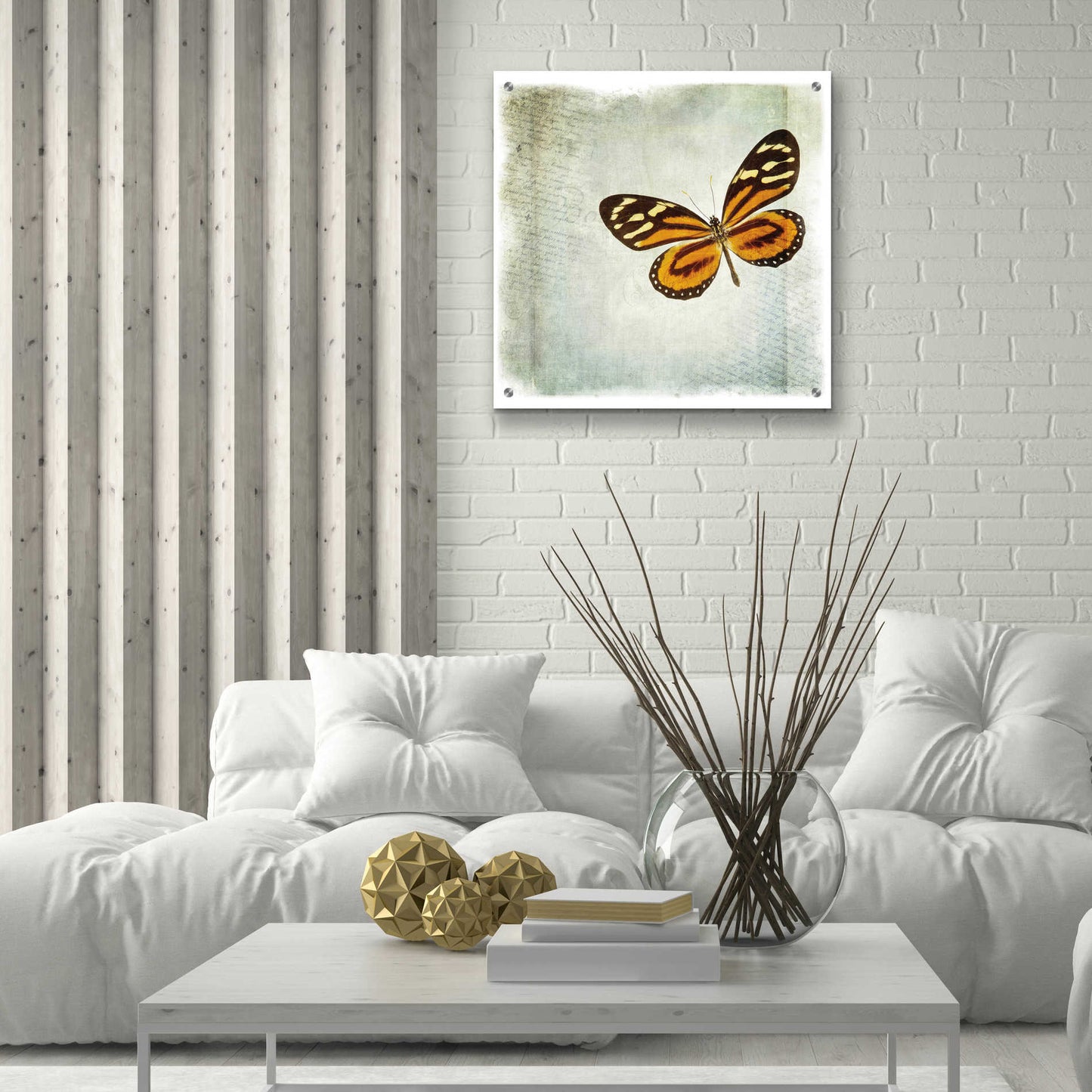 Epic Art 'Floating Butterfly VI' by Debra Van Swearingen, Acrylic Glass Wall Art,24x24