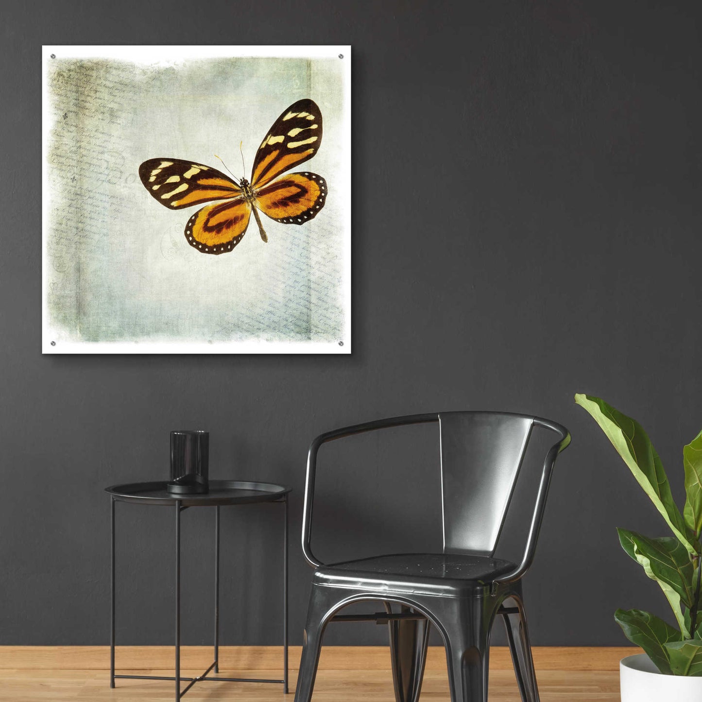 Epic Art 'Floating Butterfly VI' by Debra Van Swearingen, Acrylic Glass Wall Art,36x36