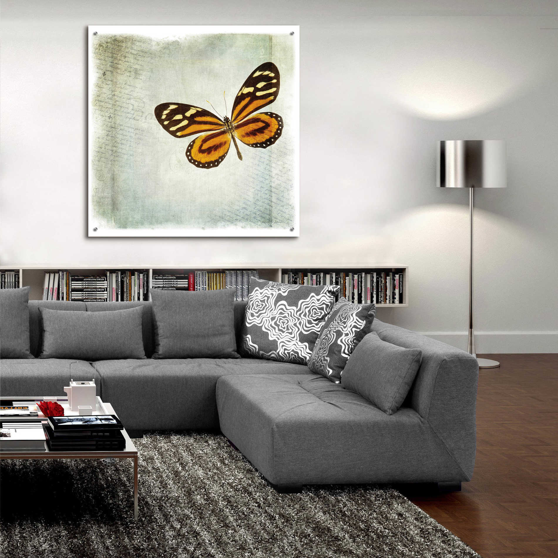 Epic Art 'Floating Butterfly VI' by Debra Van Swearingen, Acrylic Glass Wall Art,36x36