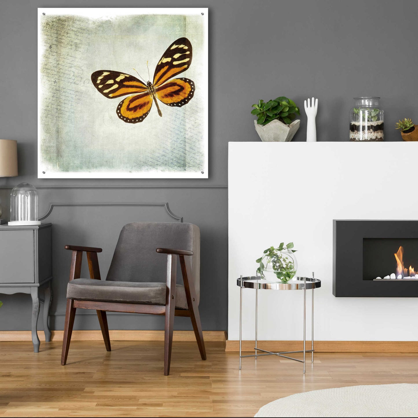Epic Art 'Floating Butterfly VI' by Debra Van Swearingen, Acrylic Glass Wall Art,36x36