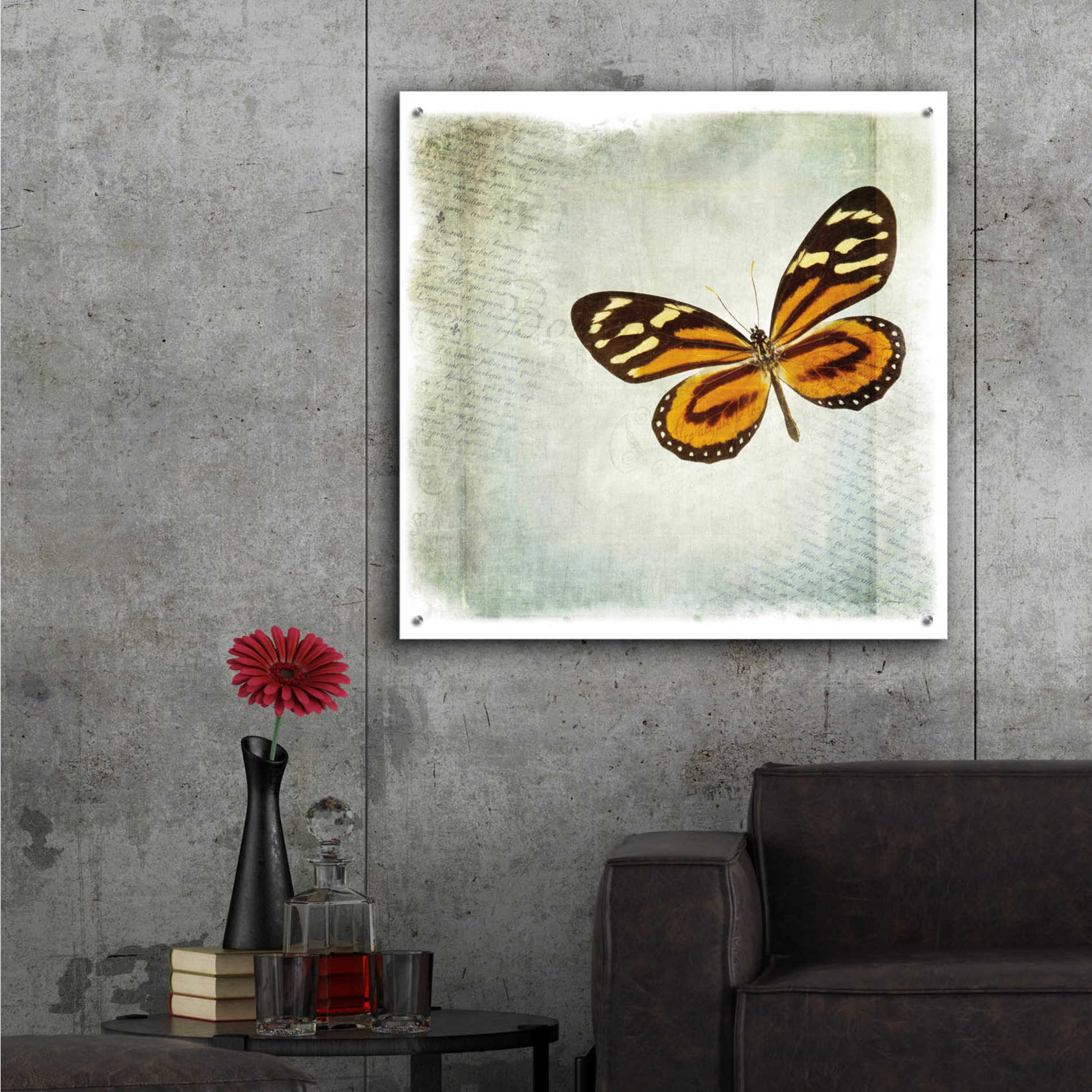 Epic Art 'Floating Butterfly VI' by Debra Van Swearingen, Acrylic Glass Wall Art,36x36