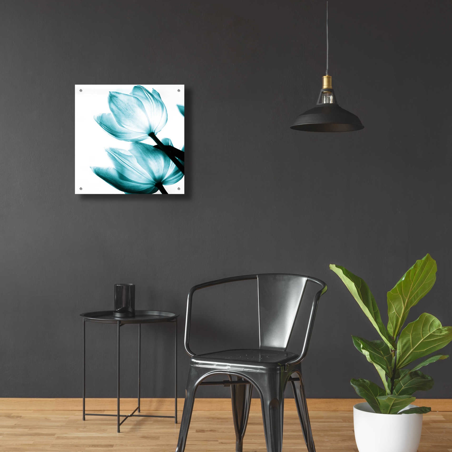 Epic Art 'Translucent Tulips II Teal' by Debra Van Swearingen, Acrylic Glass Wall Art,24x24