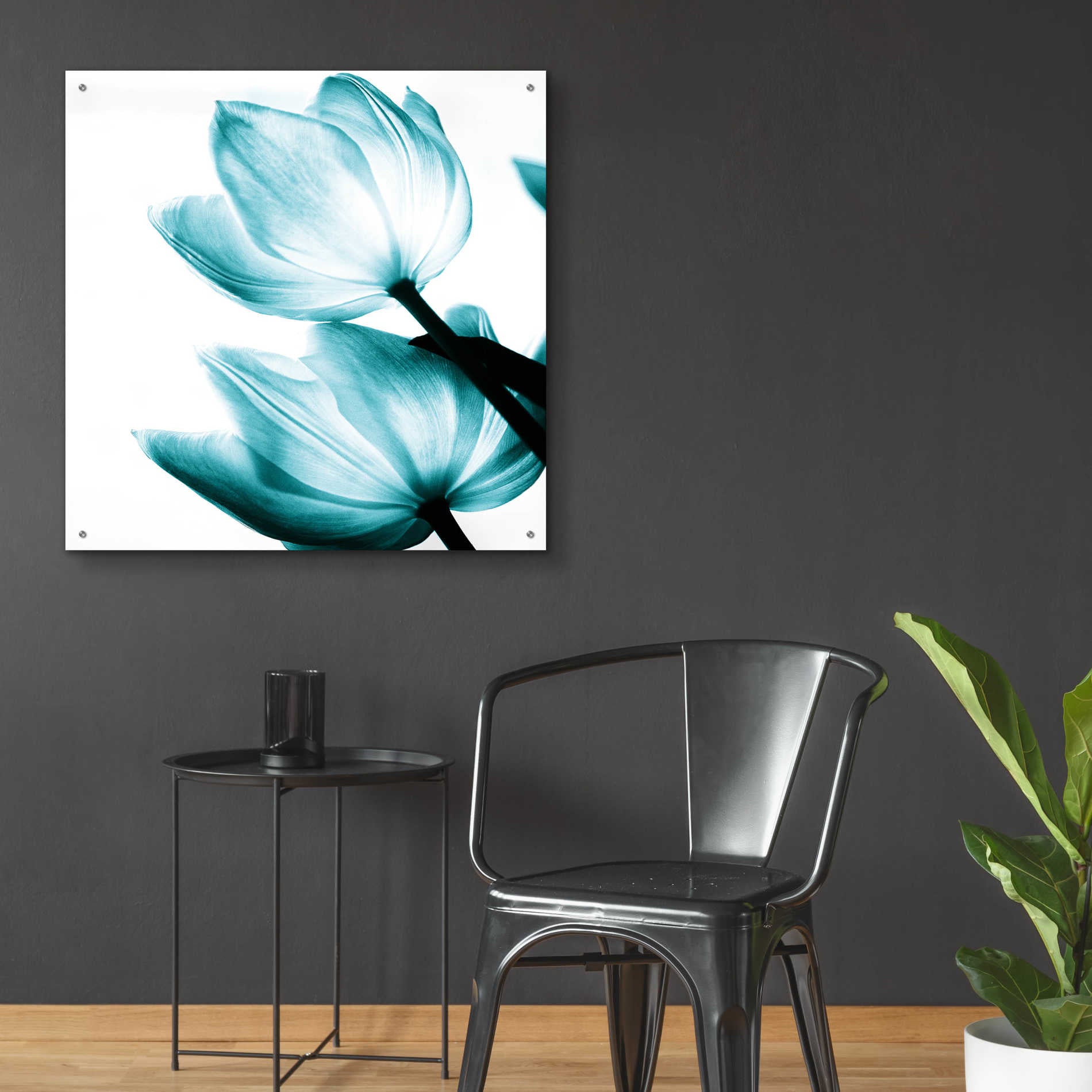 Epic Art 'Translucent Tulips II Teal' by Debra Van Swearingen, Acrylic Glass Wall Art,36x36