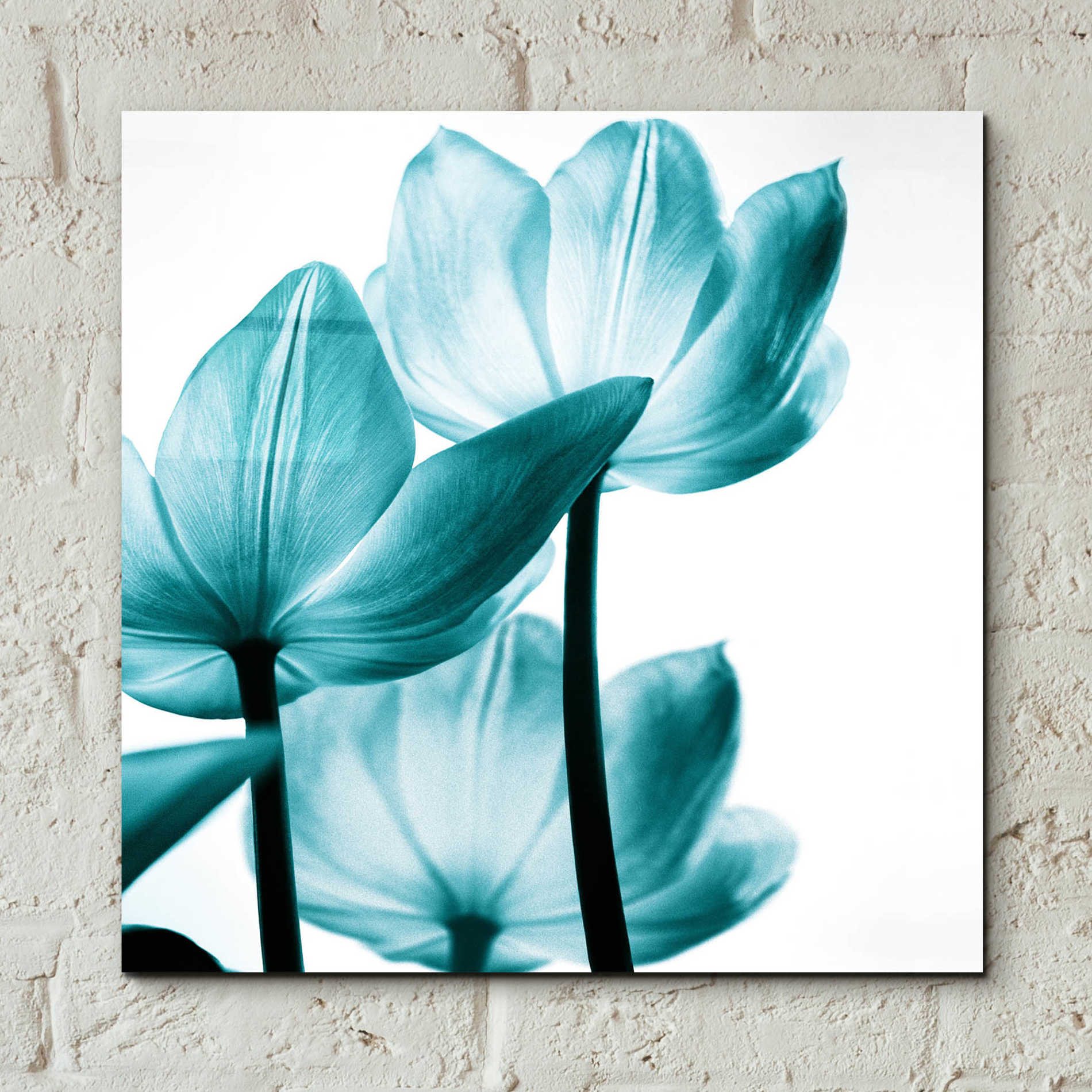 Epic Art 'Translucent Tulips III Teal' by Debra Van Swearingen, Acrylic Glass Wall Art,12x12