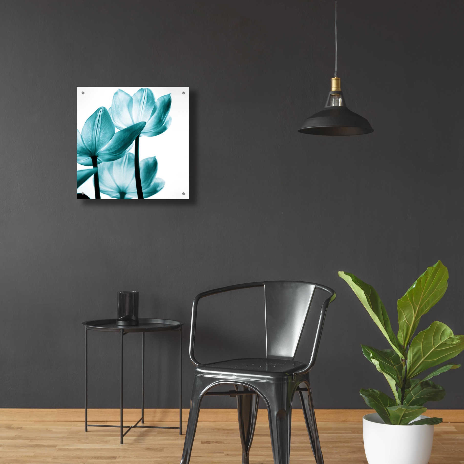 Epic Art 'Translucent Tulips III Teal' by Debra Van Swearingen, Acrylic Glass Wall Art,24x24