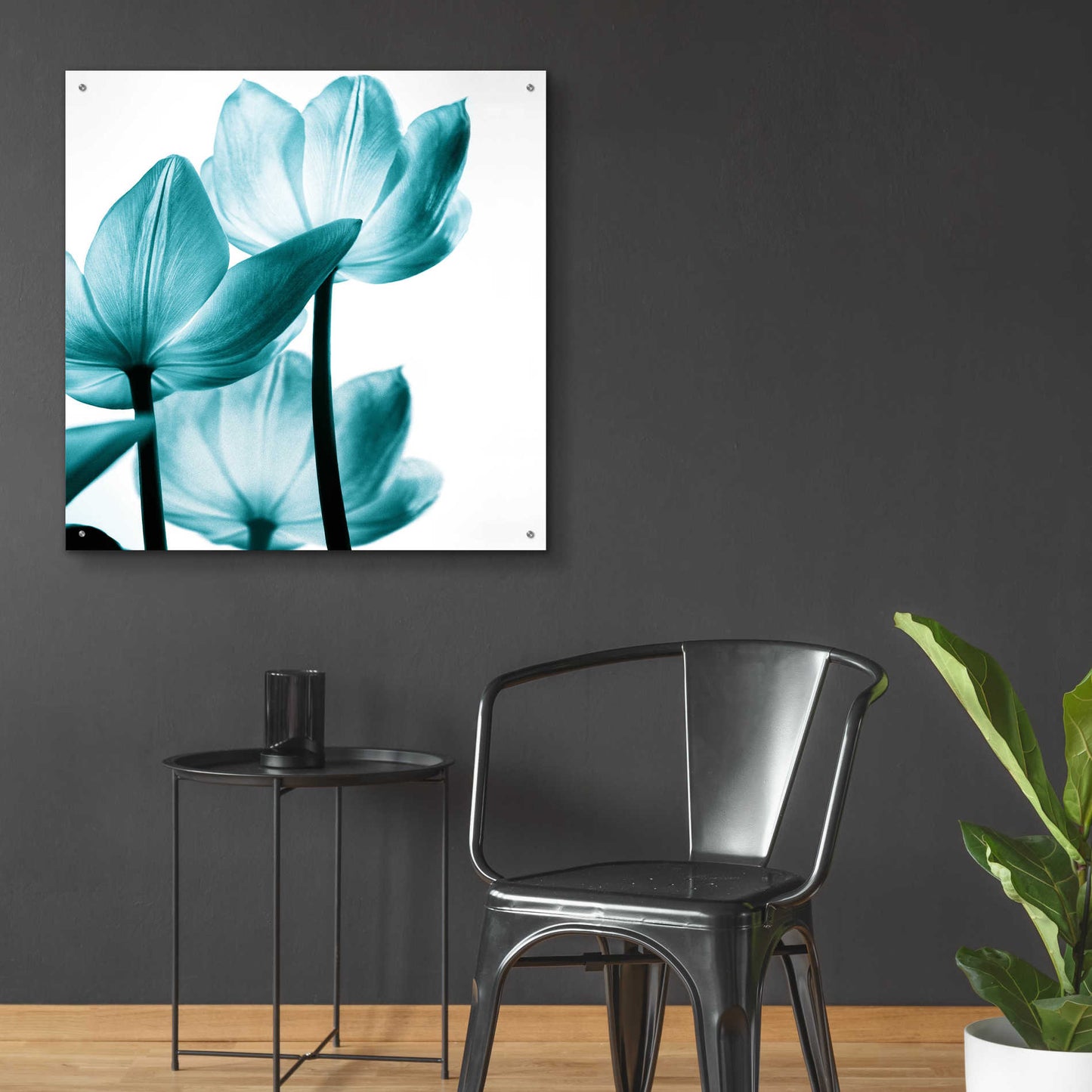 Epic Art 'Translucent Tulips III Teal' by Debra Van Swearingen, Acrylic Glass Wall Art,36x36