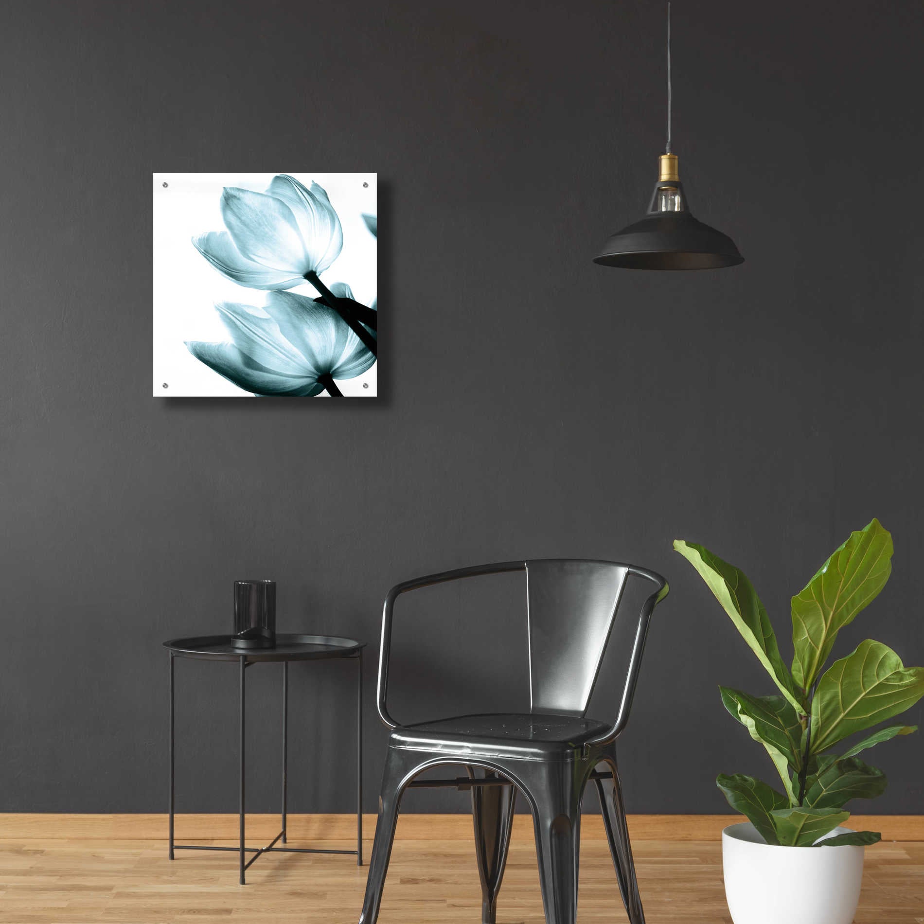 Epic Art 'Translucent Tulips II Aqua' by Debra Van Swearingen, Acrylic Glass Wall Art,24x24