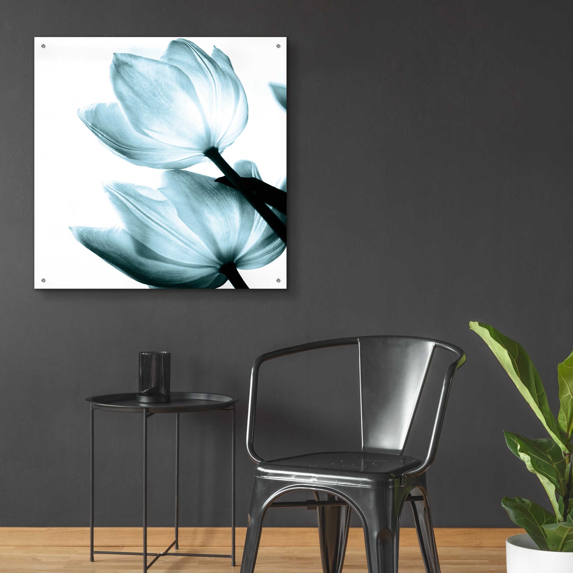 Epic Art 'Translucent Tulips II Aqua' by Debra Van Swearingen, Acrylic Glass Wall Art,36x36