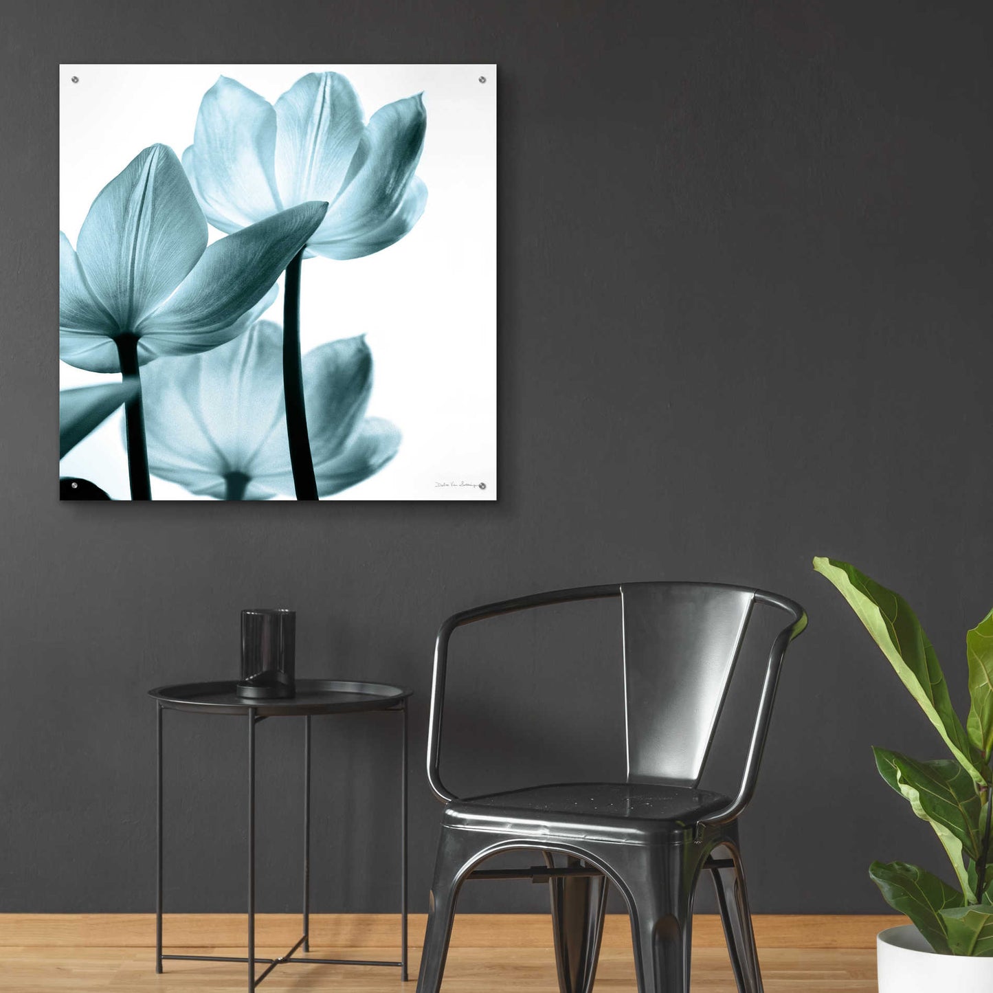 Epic Art 'Translucent Tulips III Aqua' by Debra Van Swearingen, Acrylic Glass Wall Art,36x36