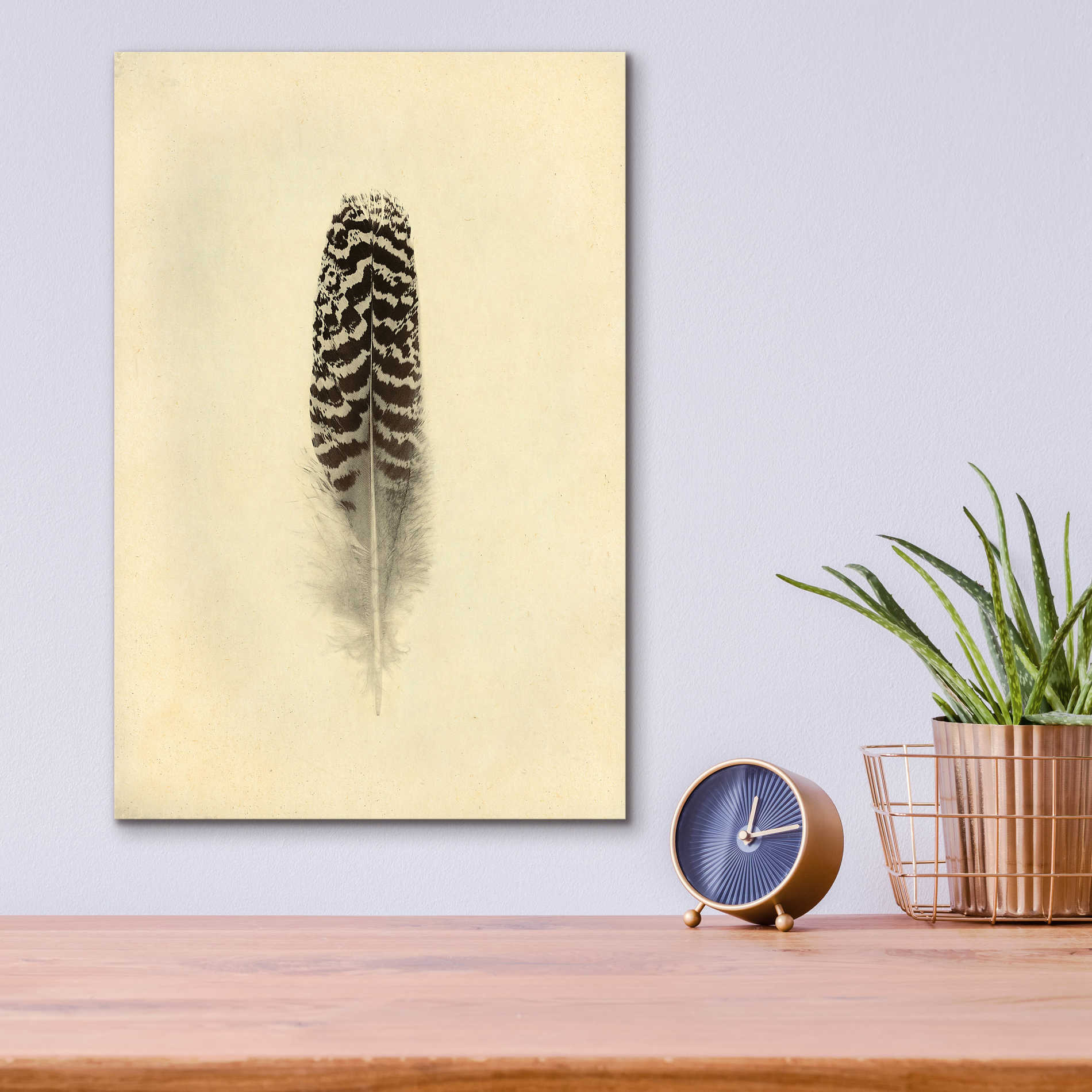 Epic Art 'Feather I Vintage' by Debra Van Swearingen, Acrylic Glass Wall Art,12x16