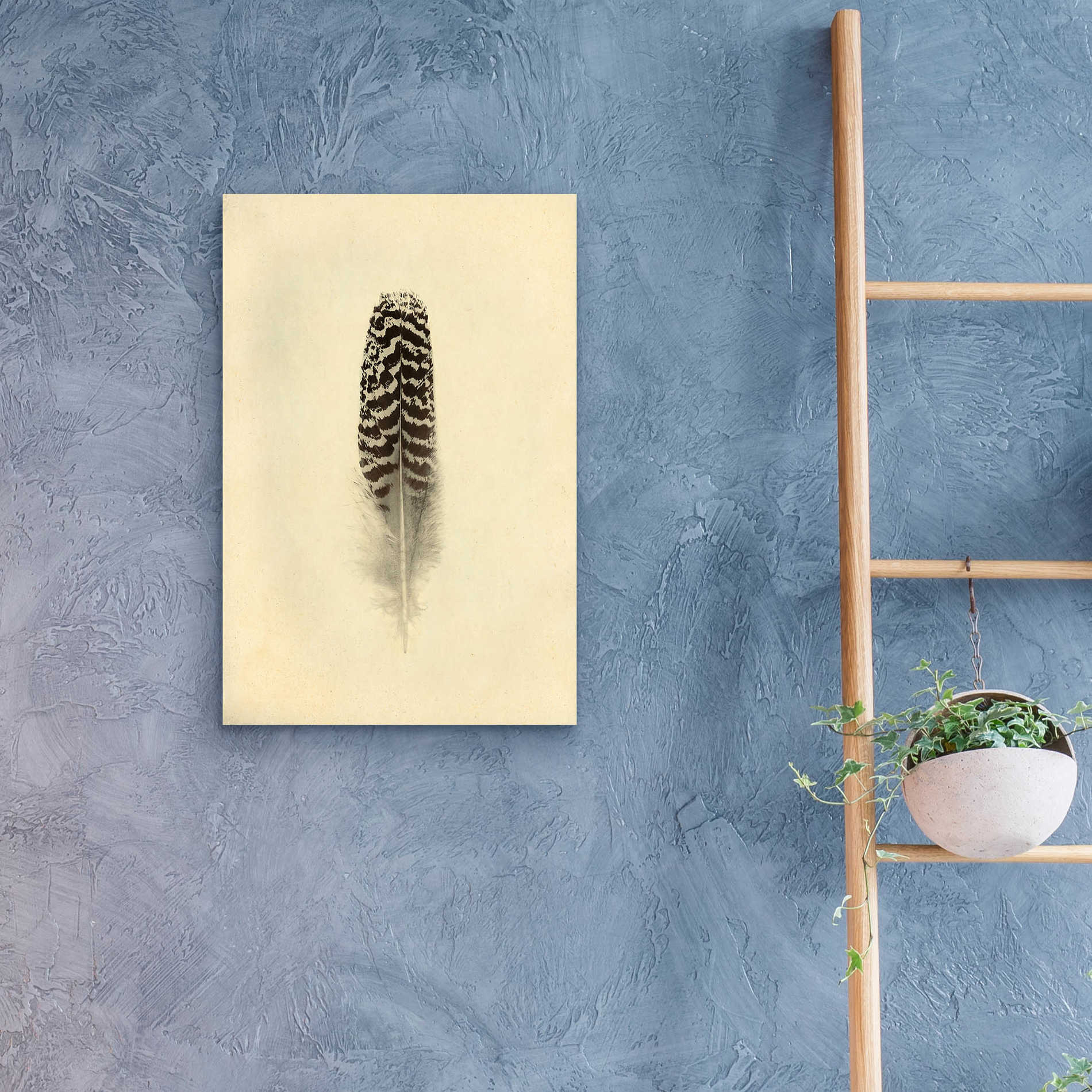 Epic Art 'Feather I Vintage' by Debra Van Swearingen, Acrylic Glass Wall Art,16x24