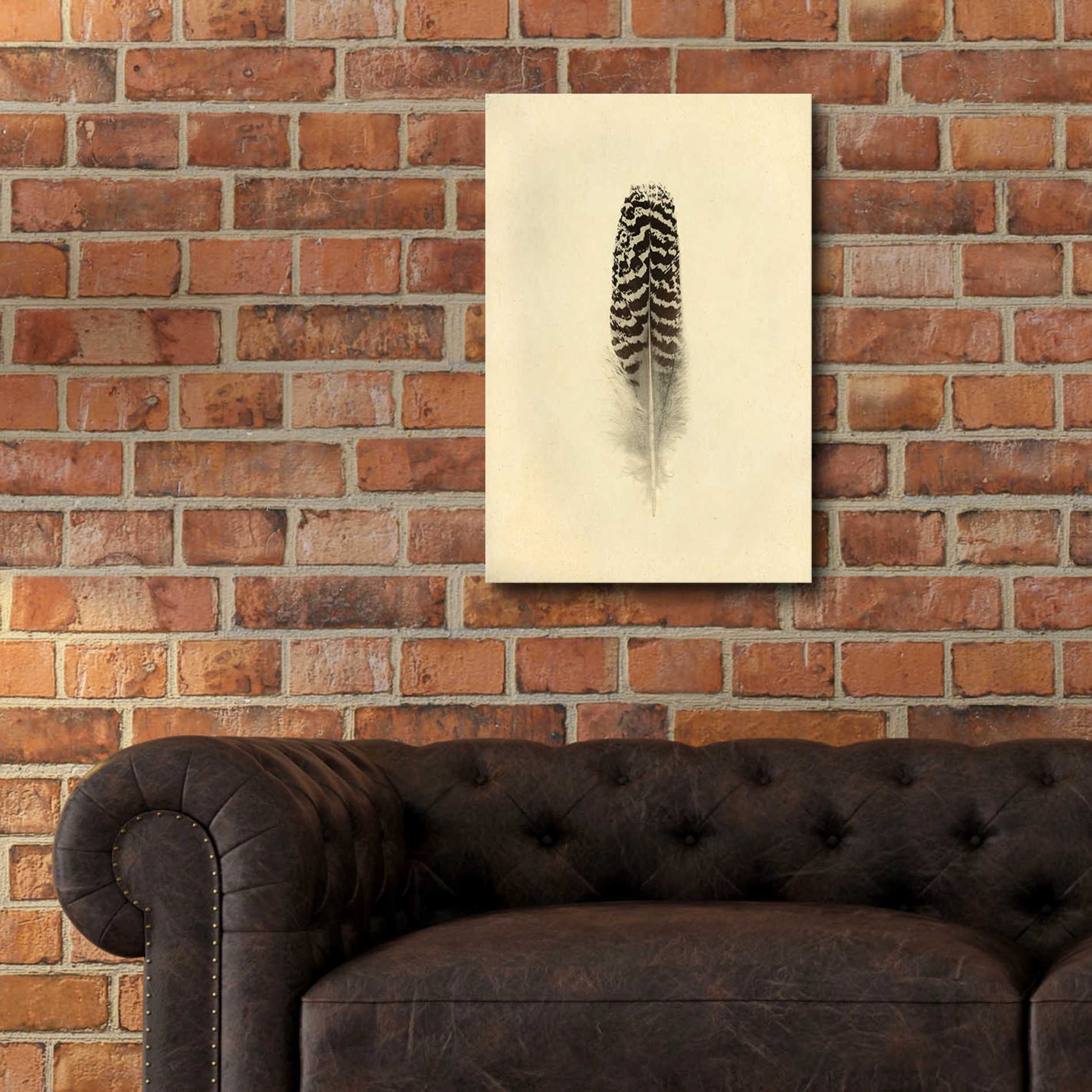 Epic Art 'Feather I Vintage' by Debra Van Swearingen, Acrylic Glass Wall Art,16x24