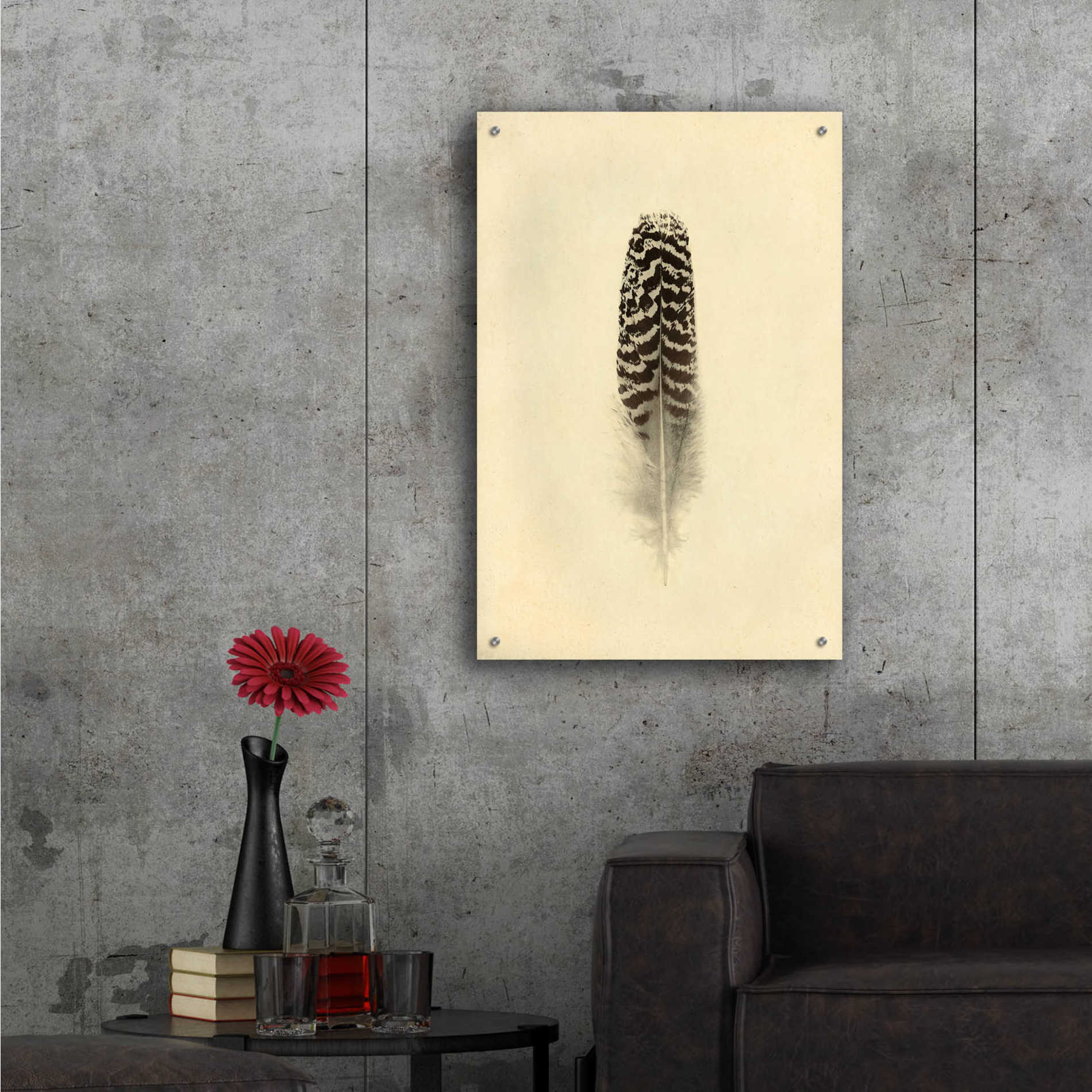 Epic Art 'Feather I Vintage' by Debra Van Swearingen, Acrylic Glass Wall Art,24x36