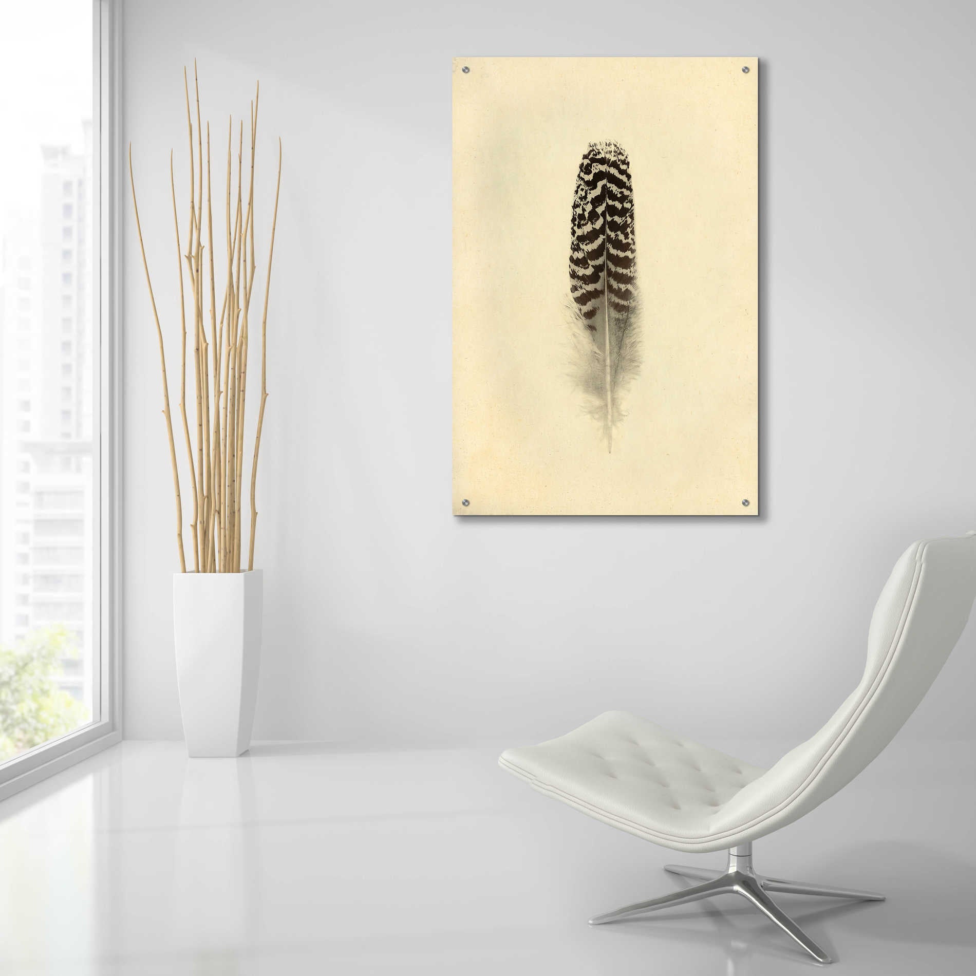 Epic Art 'Feather I Vintage' by Debra Van Swearingen, Acrylic Glass Wall Art,24x36