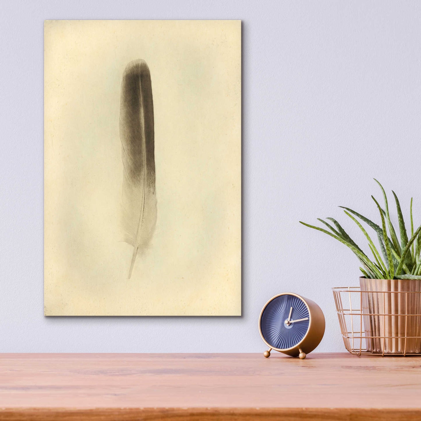 Epic Art 'Feather II Vintage' by Debra Van Swearingen, Acrylic Glass Wall Art,12x16