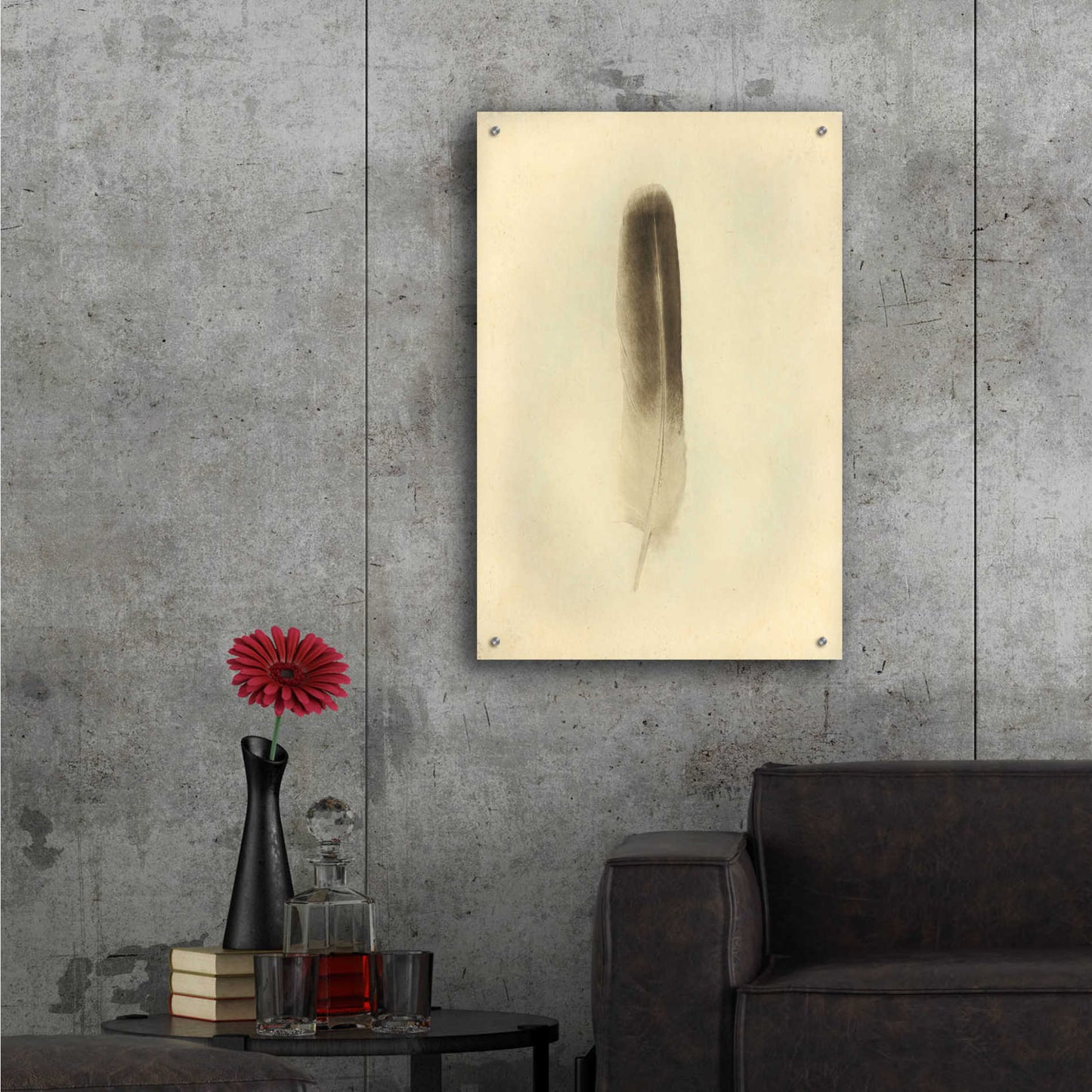 Epic Art 'Feather II Vintage' by Debra Van Swearingen, Acrylic Glass Wall Art,24x36